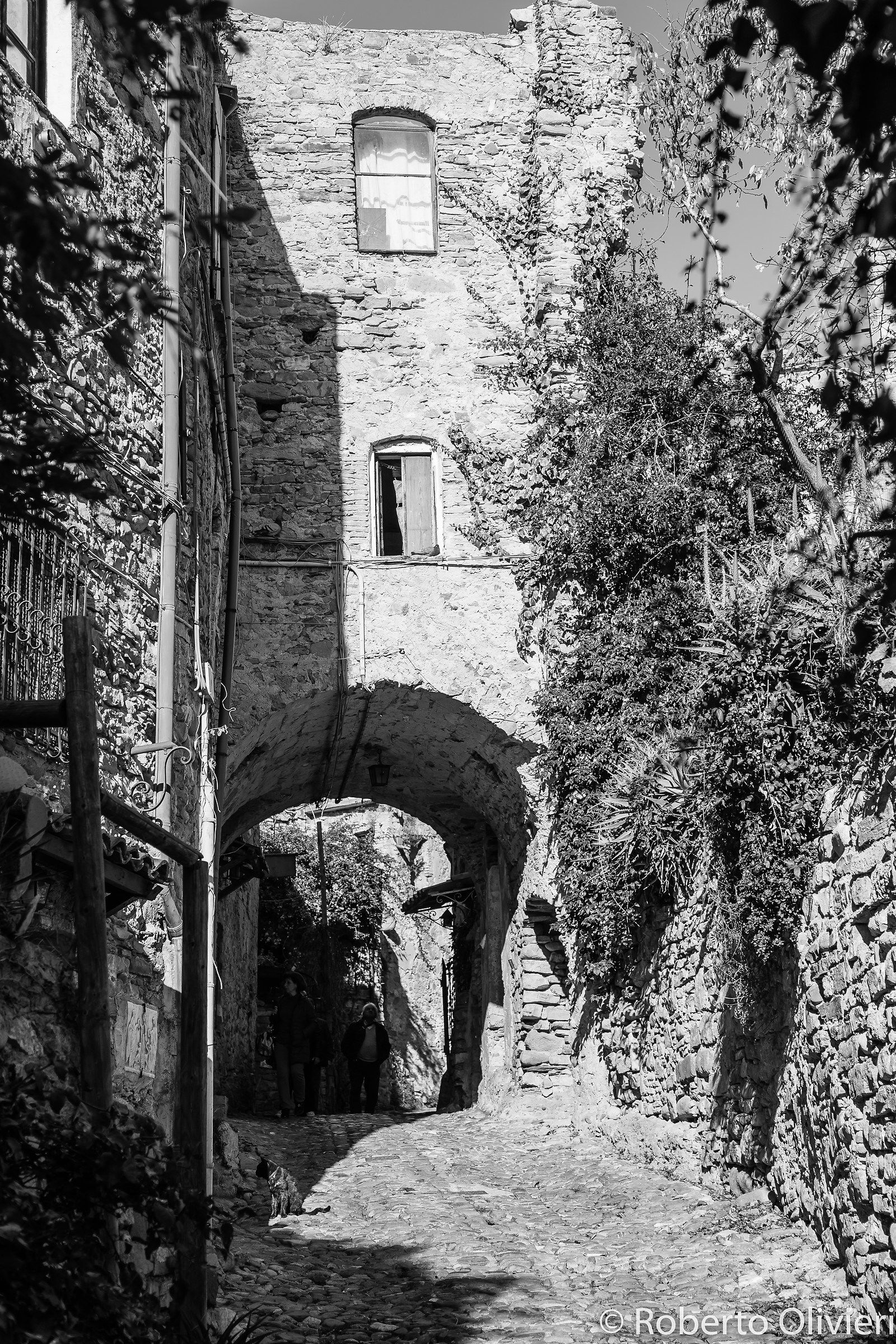 Two steps to Old Bussana ....