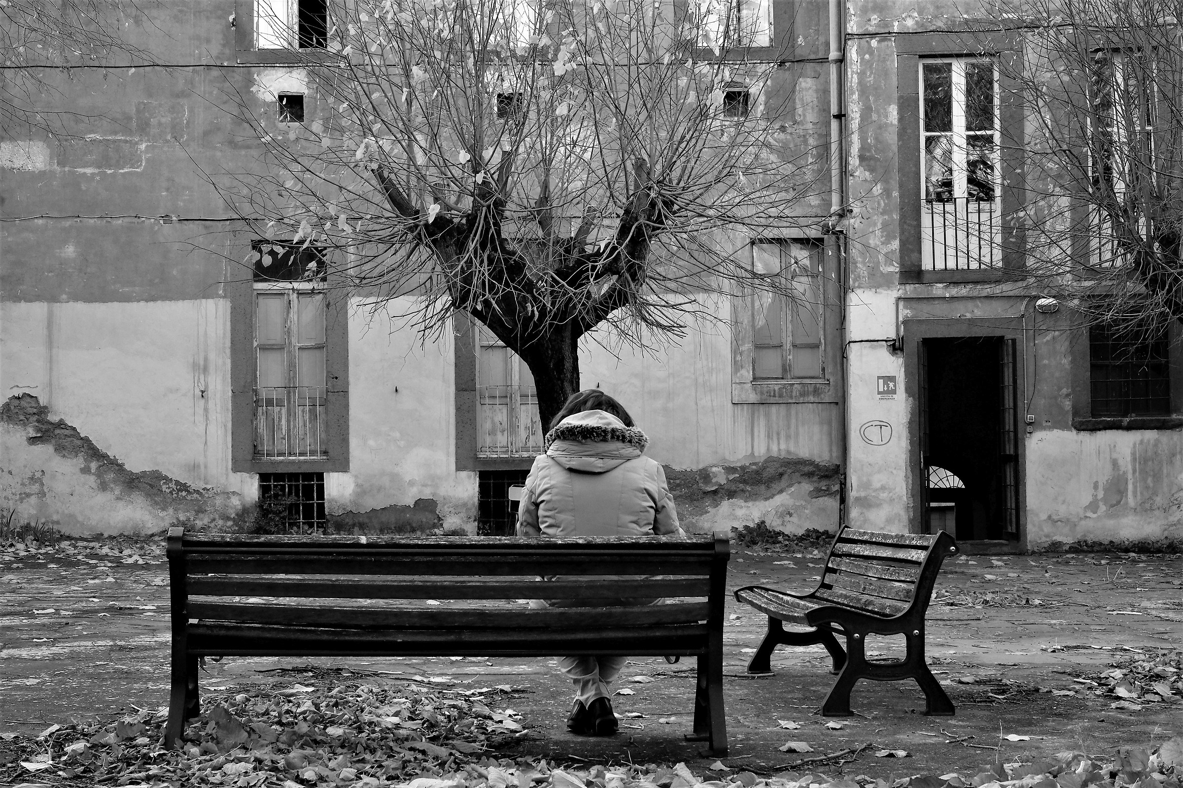 The park in the courtyard
