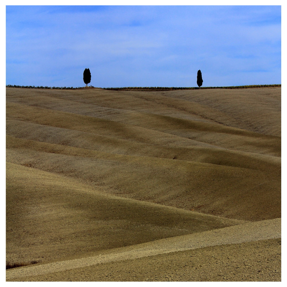 Val d'Orcia: The two sentinels