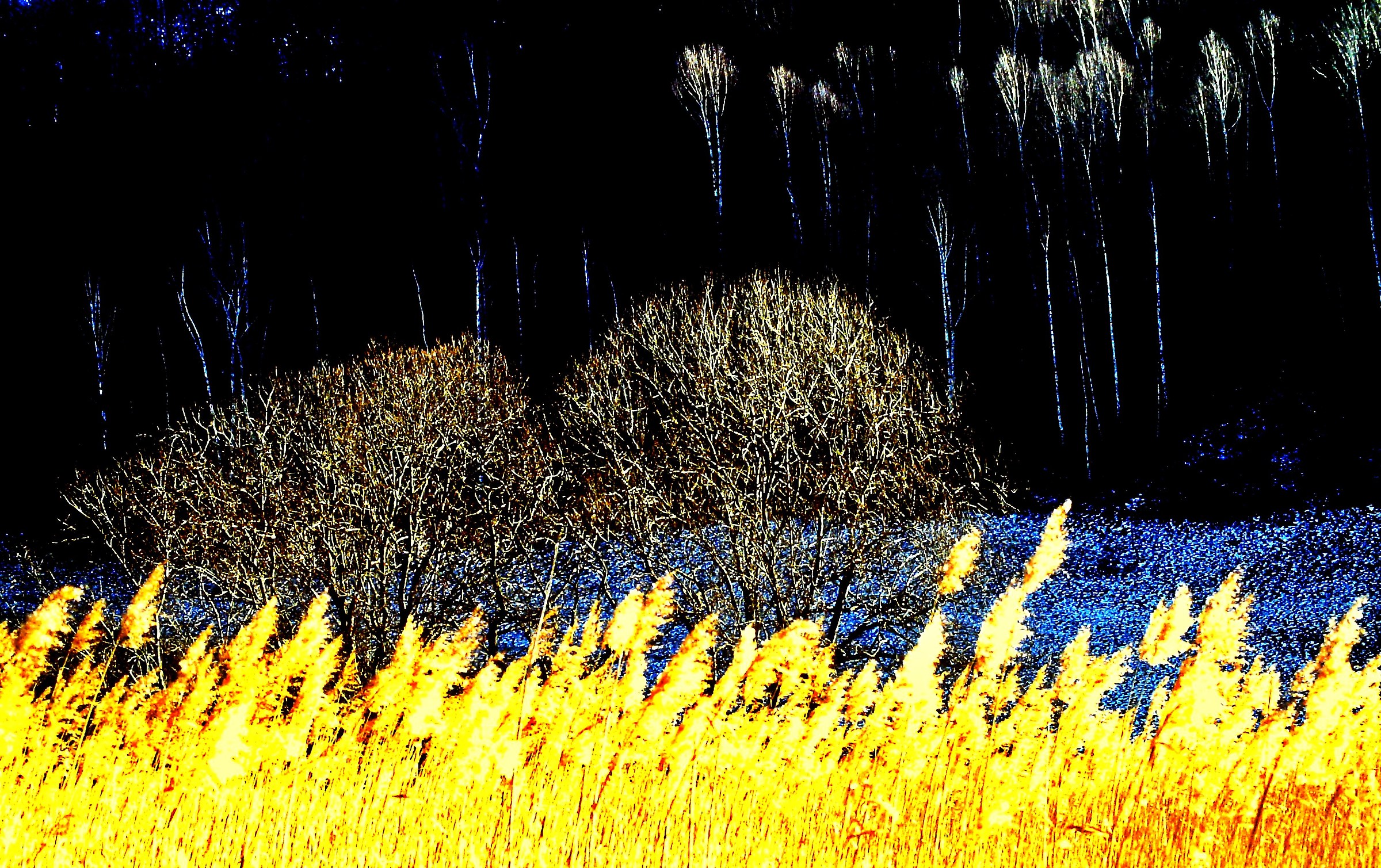 940 - luminosa surrealtà - CO Vallassina Crezzo