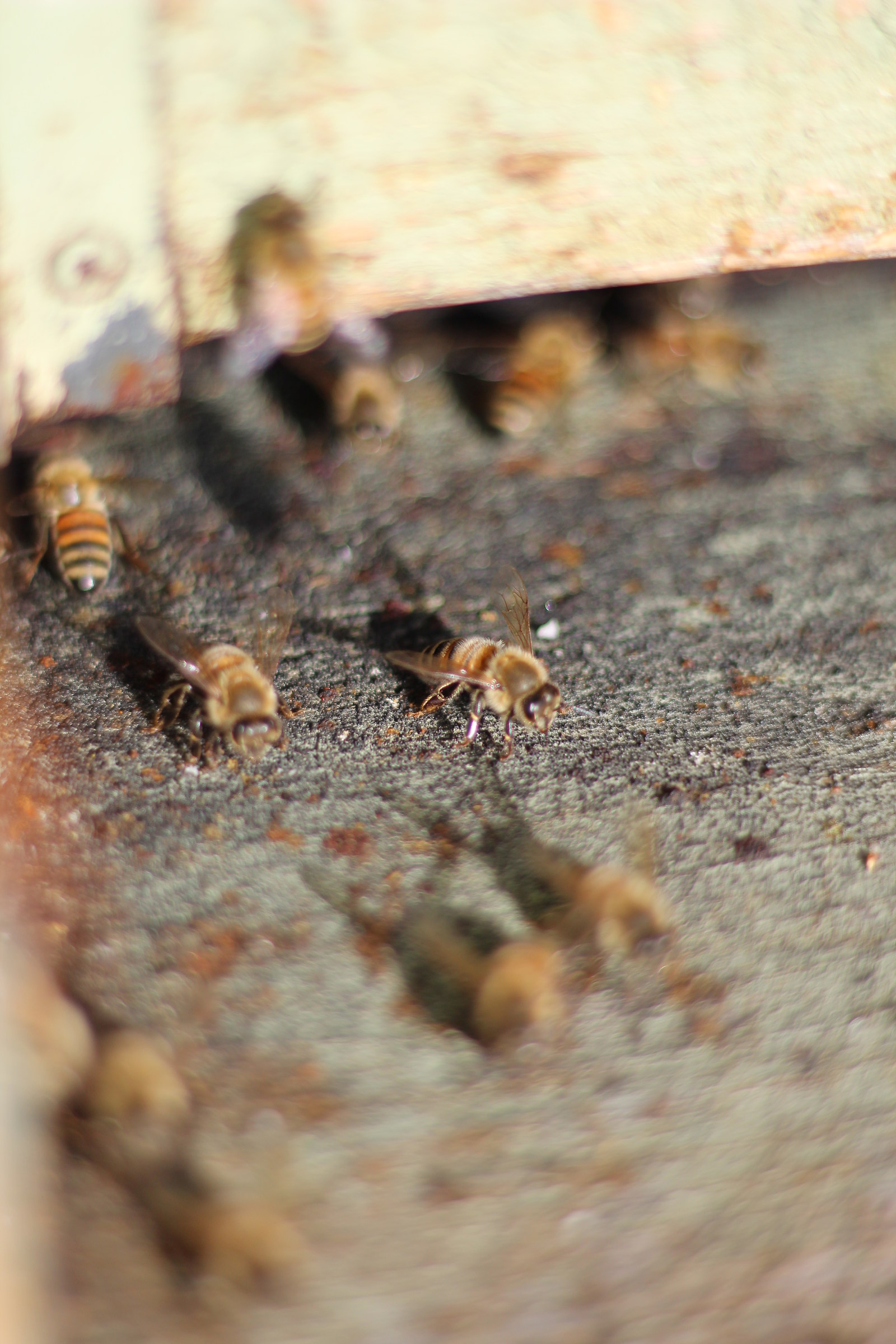 Group .. union .. strength