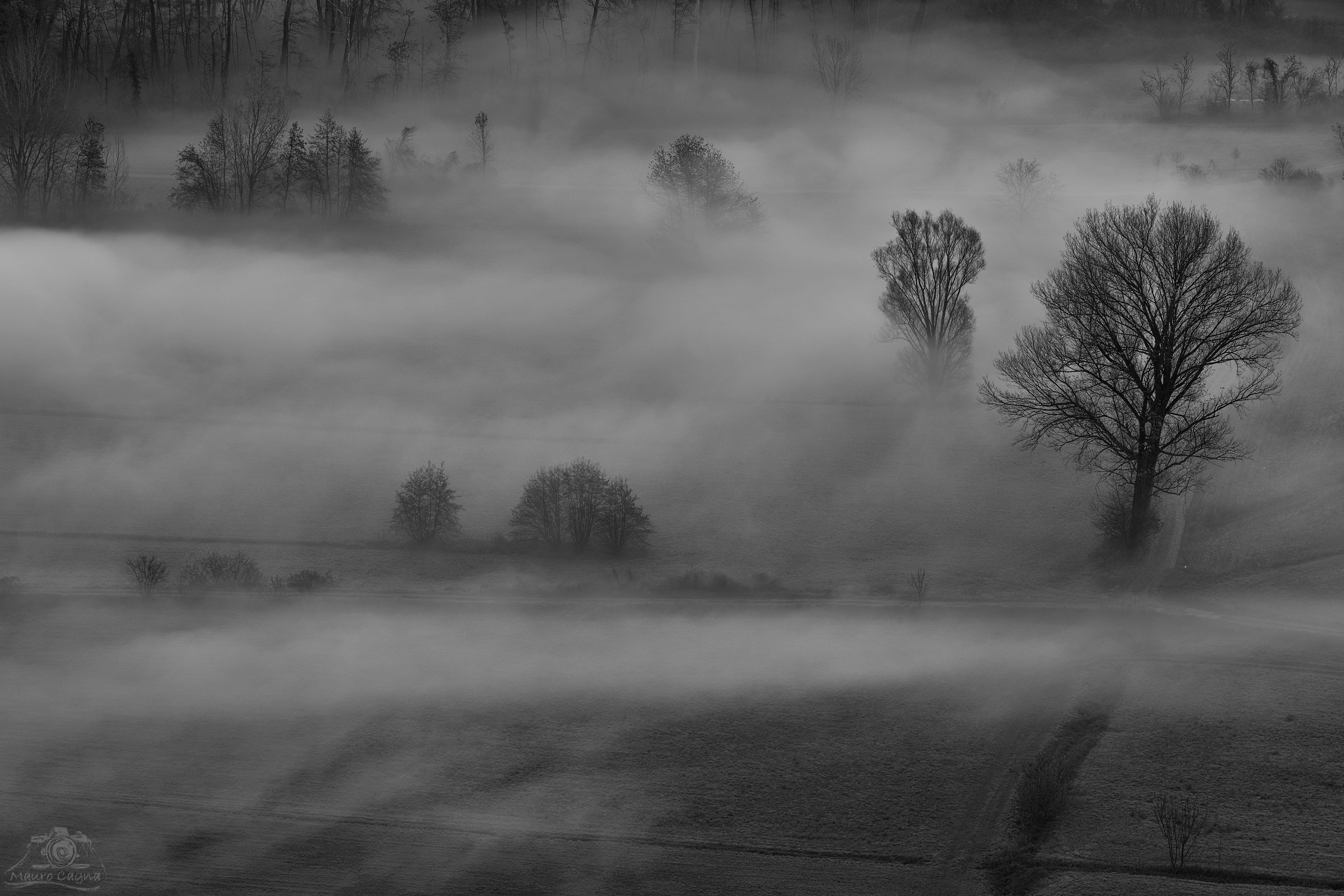 Airuno, B & W fog