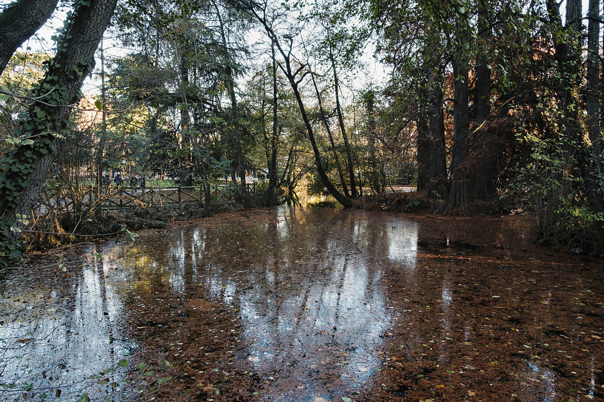 I colori dell'autunno
