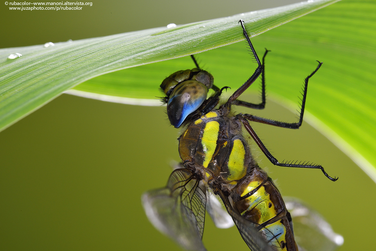 Come ripararsi dalla pioggia