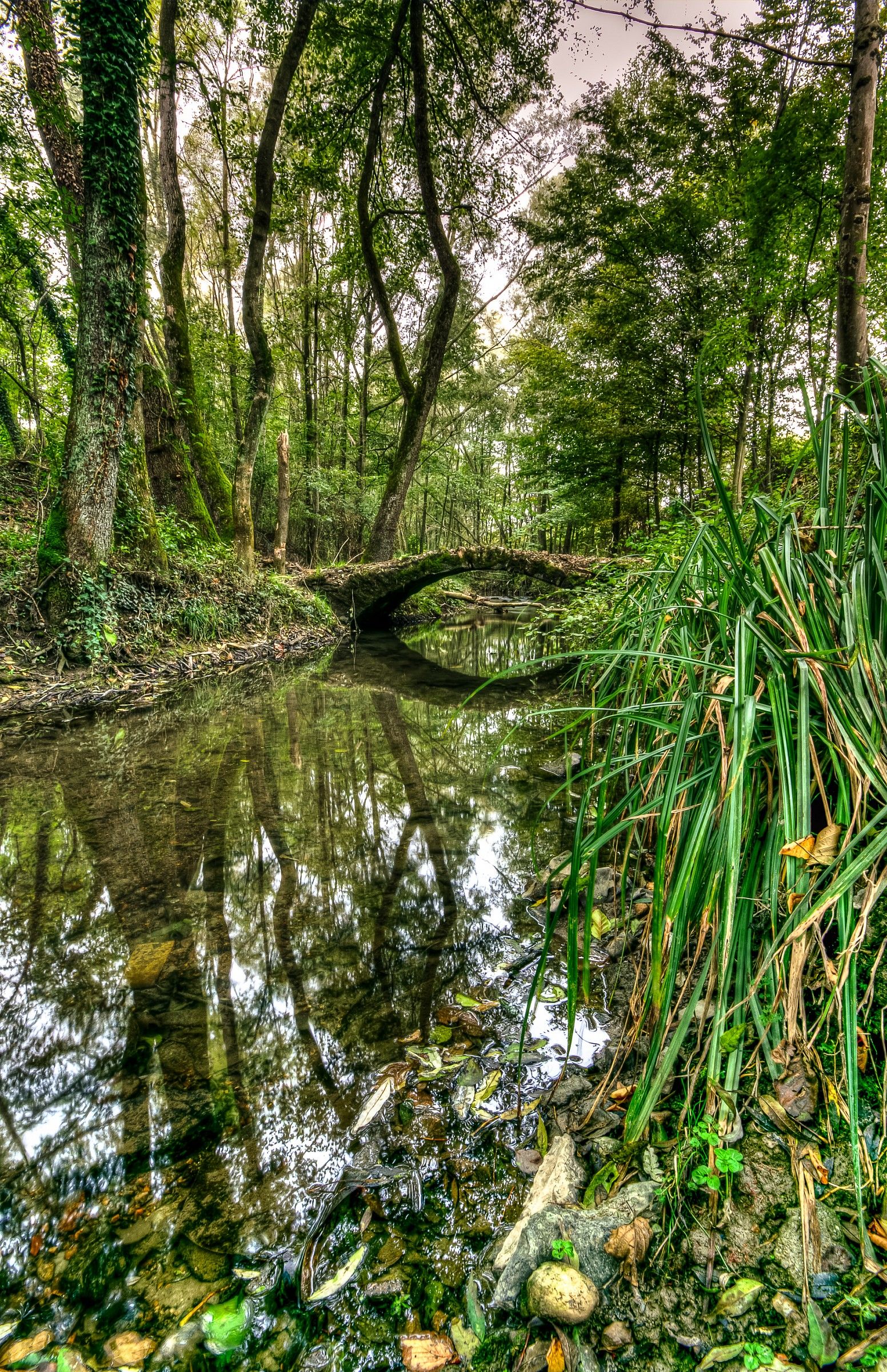Ponticello ad arco in chiave di volta