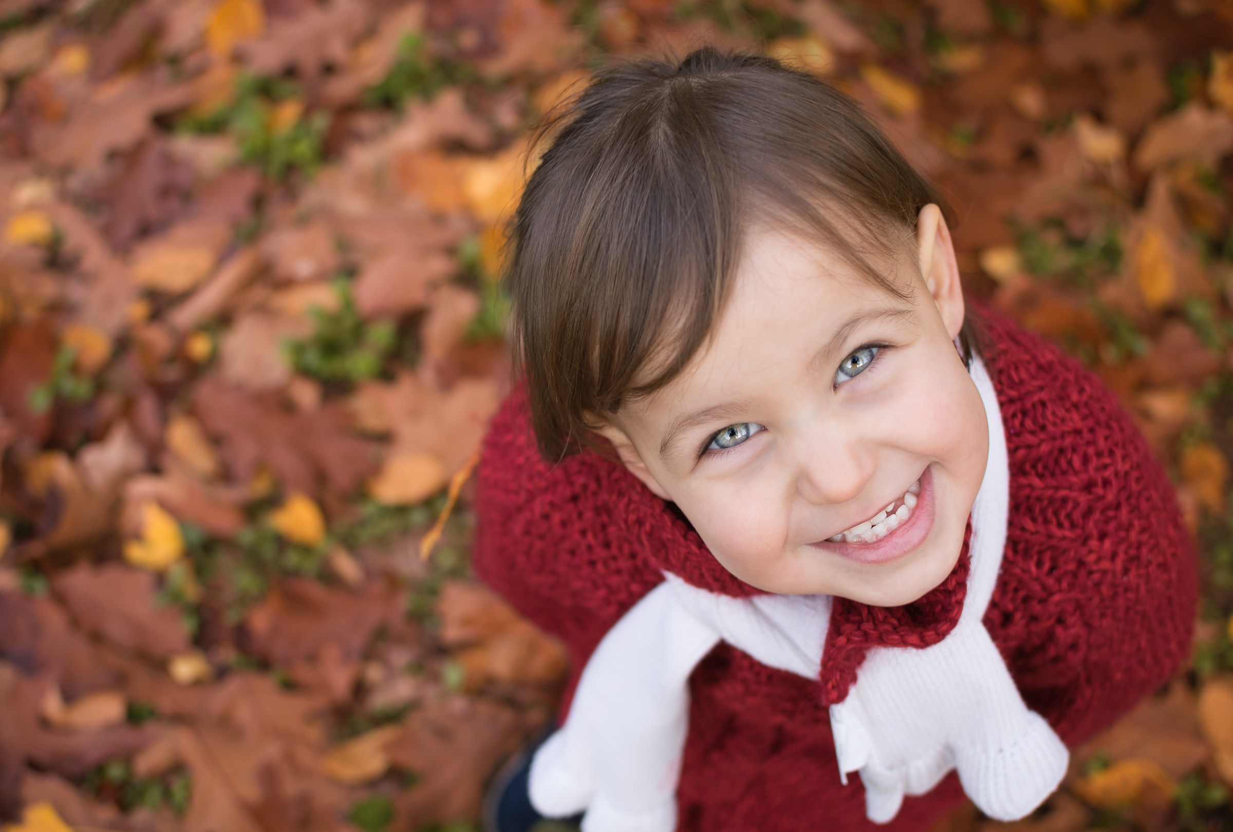 The beautiful autumn colors ...