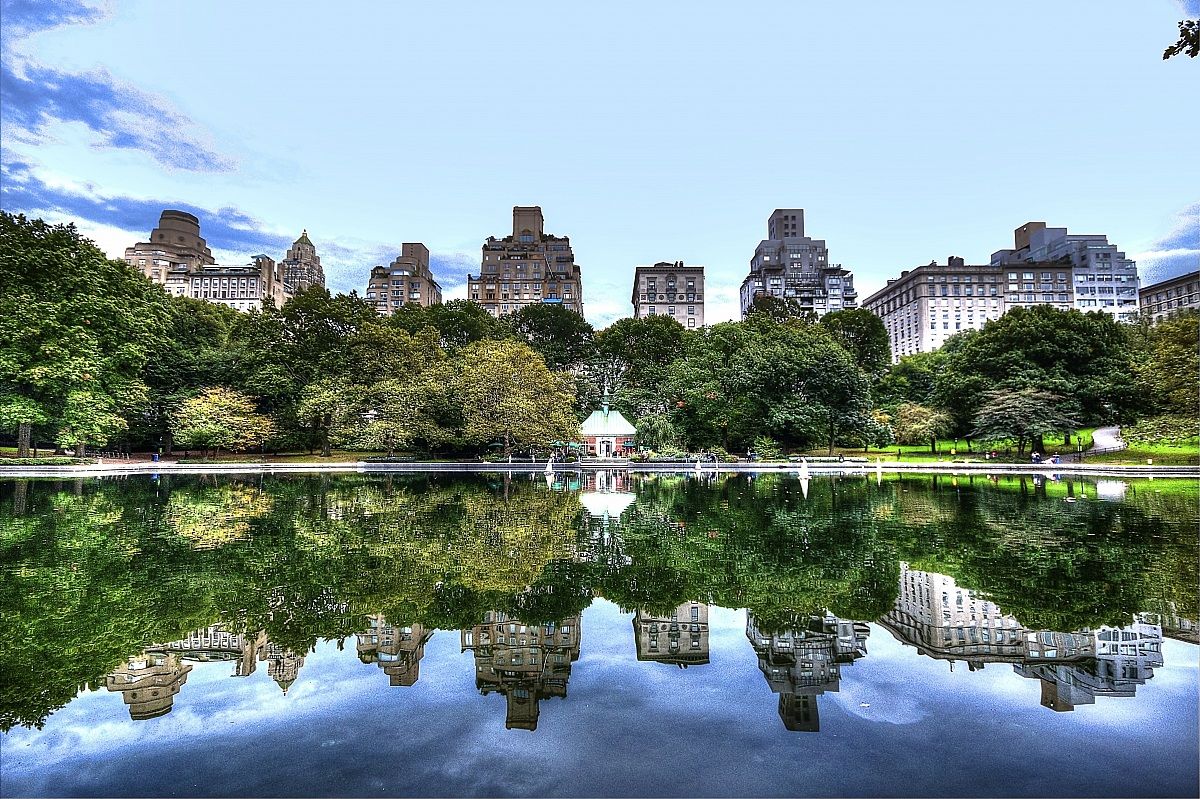 Central Park Reflections