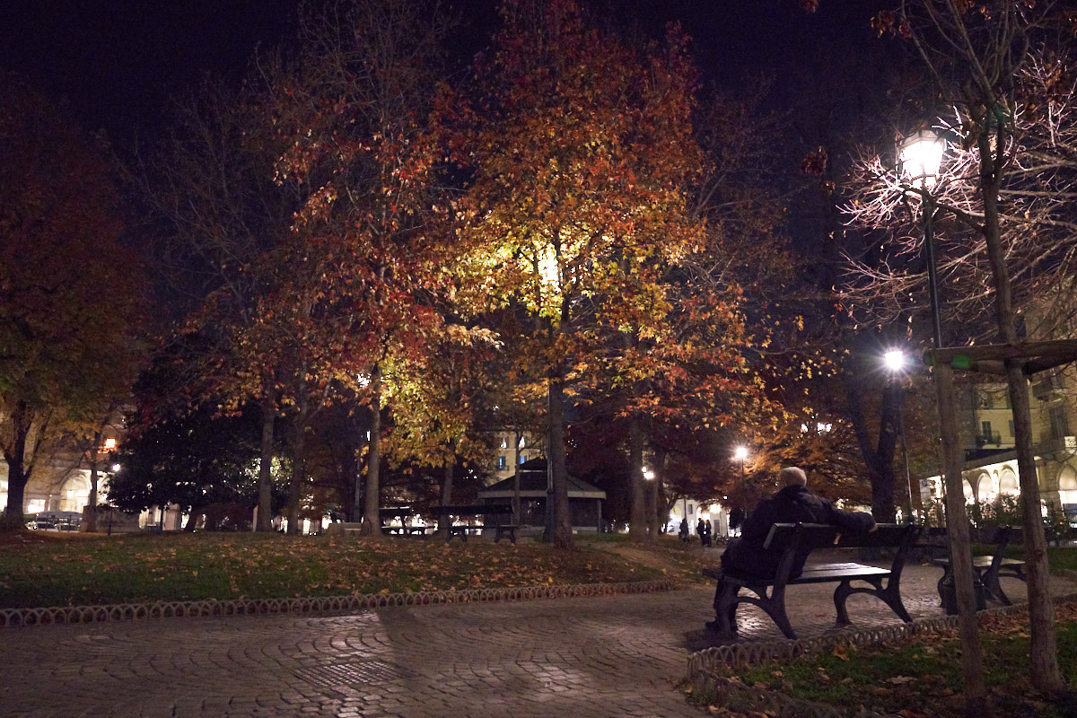 Loneliness in the park