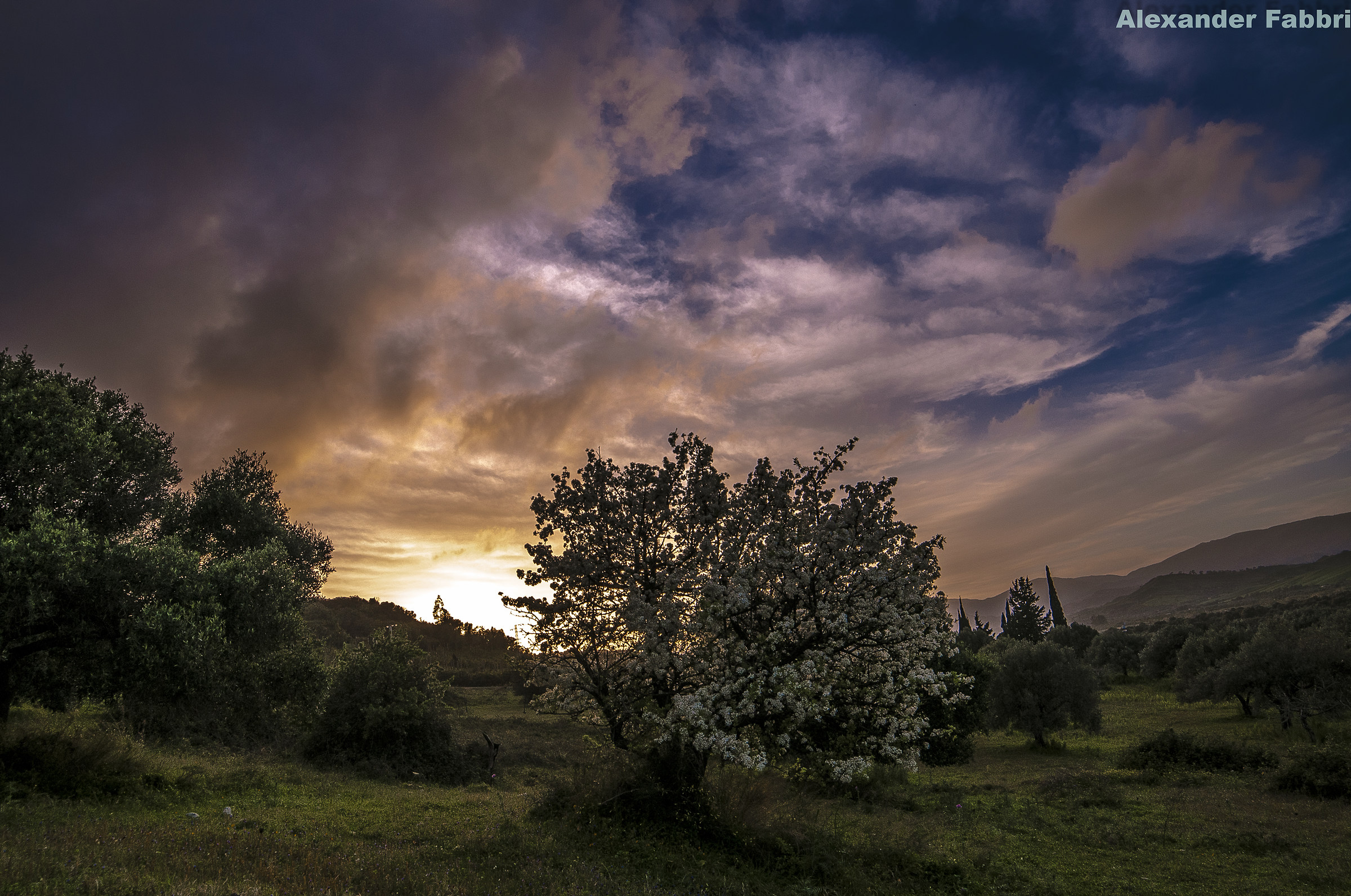 Sunset among the Almond Blossoms (Calabria 2016)