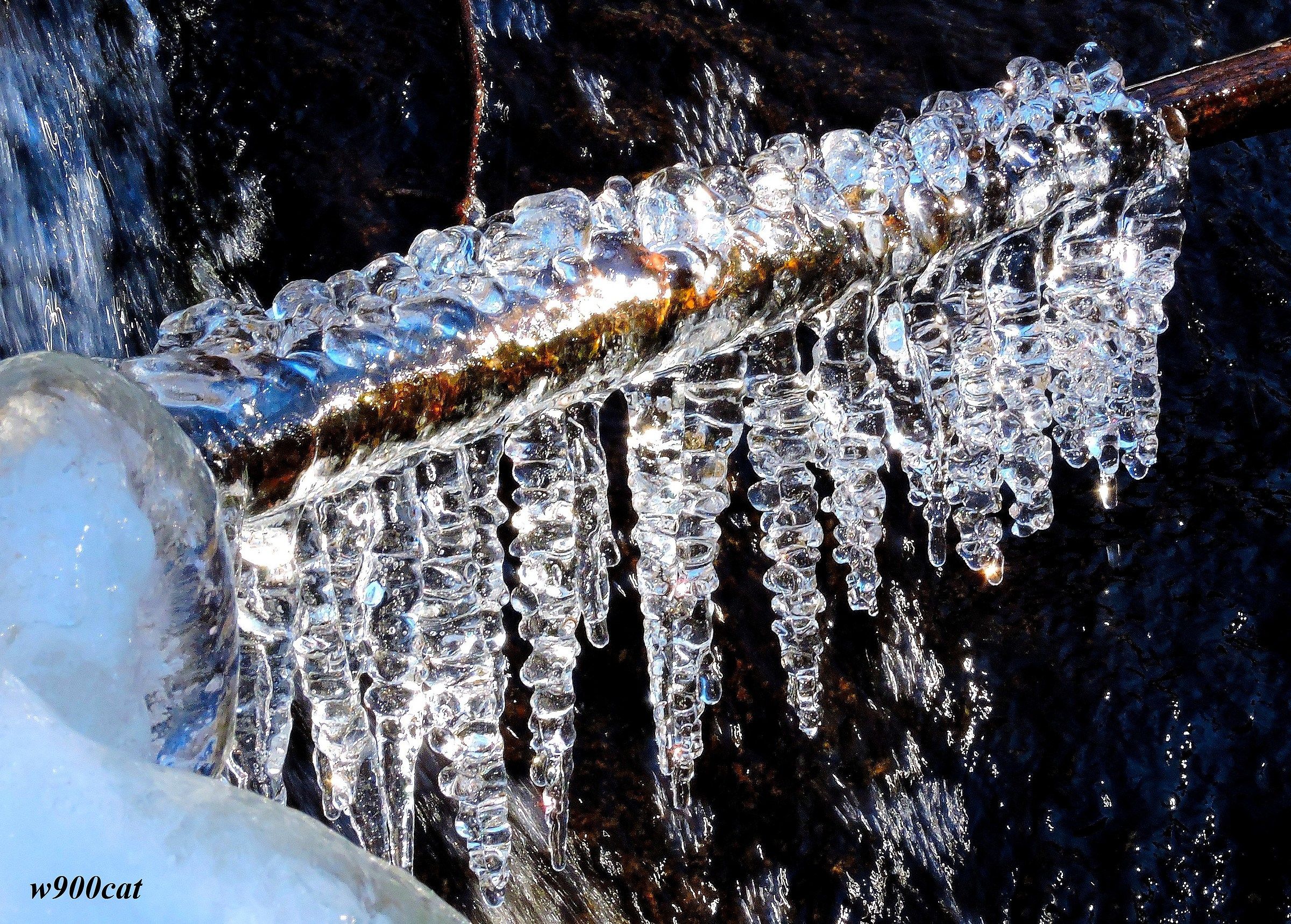 In the stream near the house