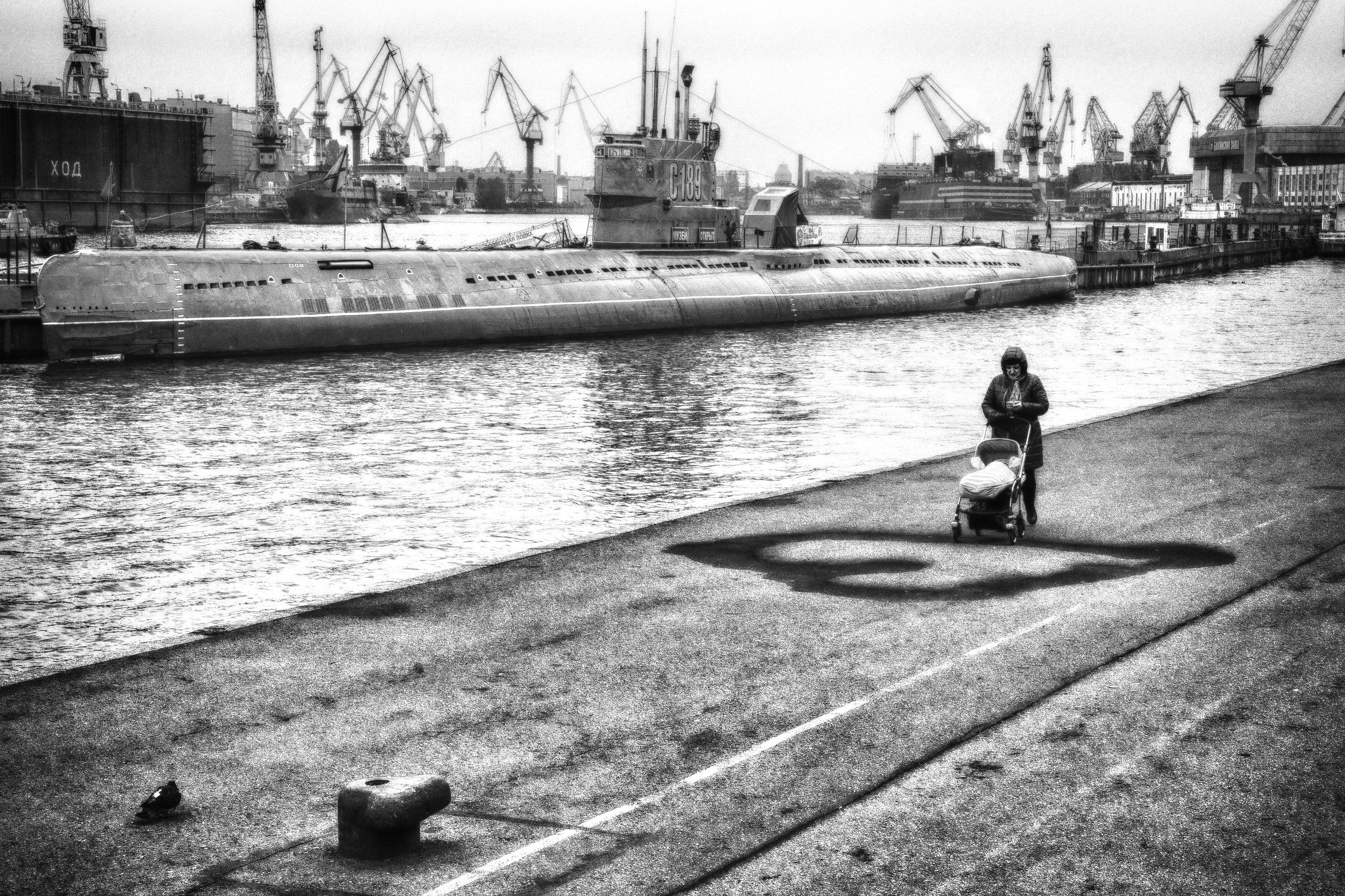 Saint Petersburg, 2016