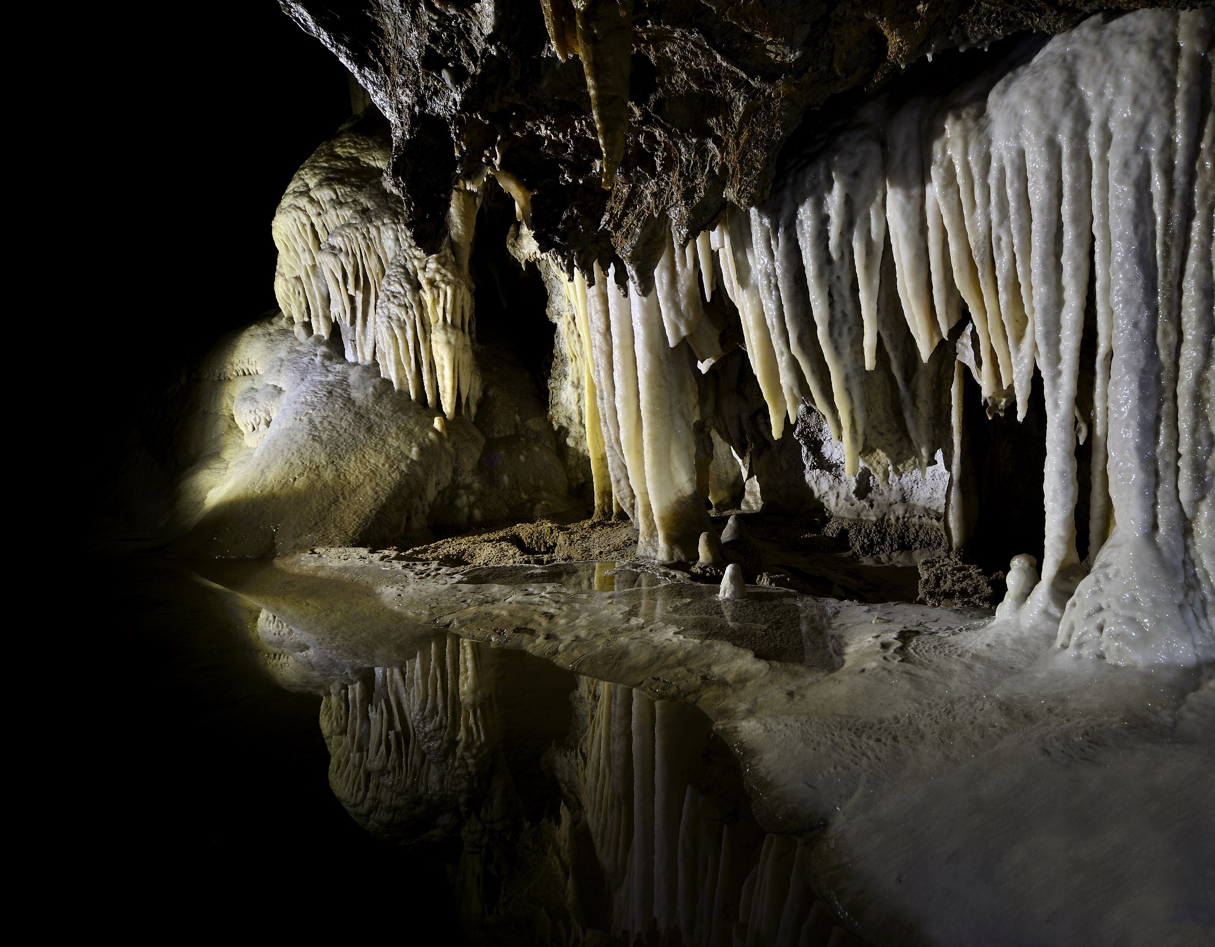 Emerging from the Dark