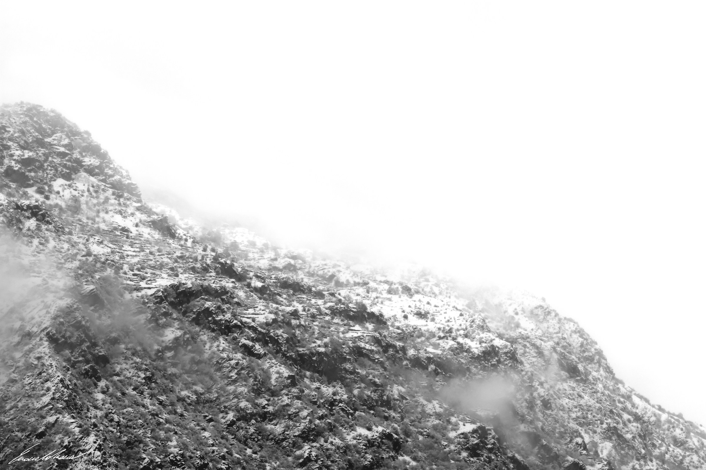 In the White Silence