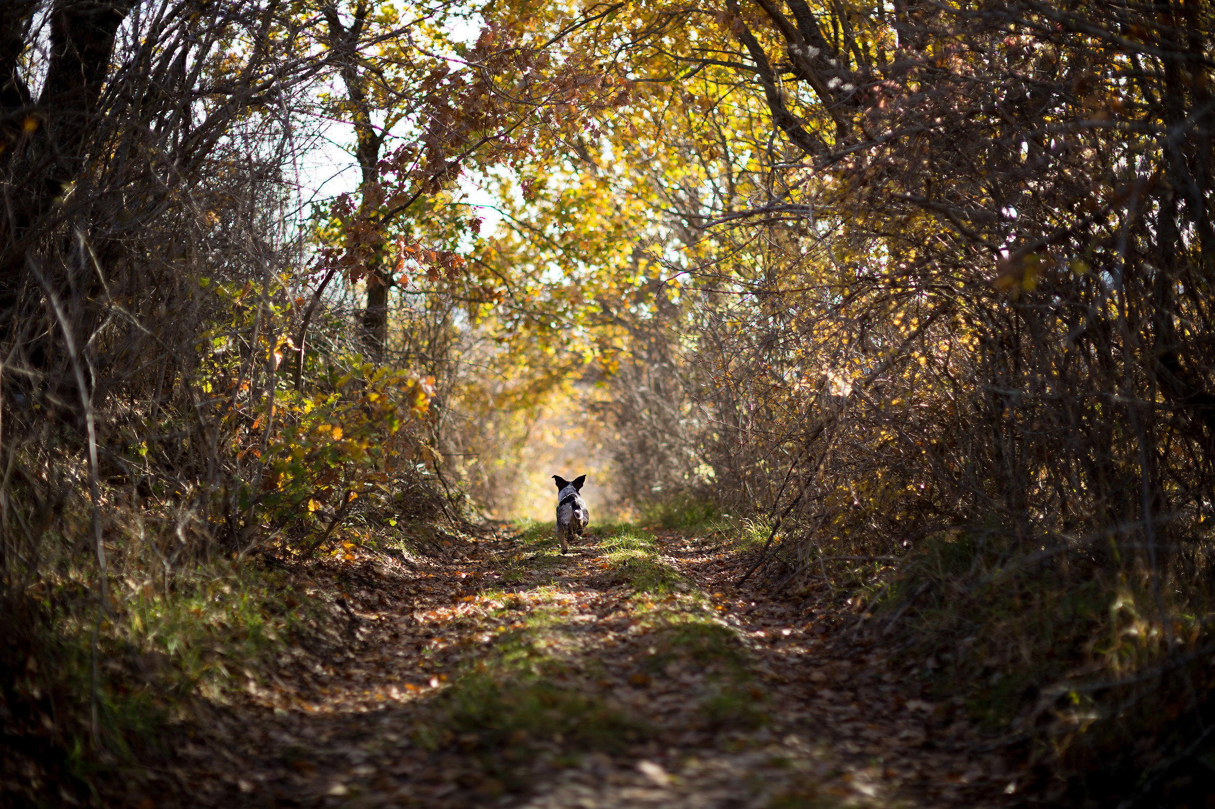Rivoli - Colors of Abruzzo