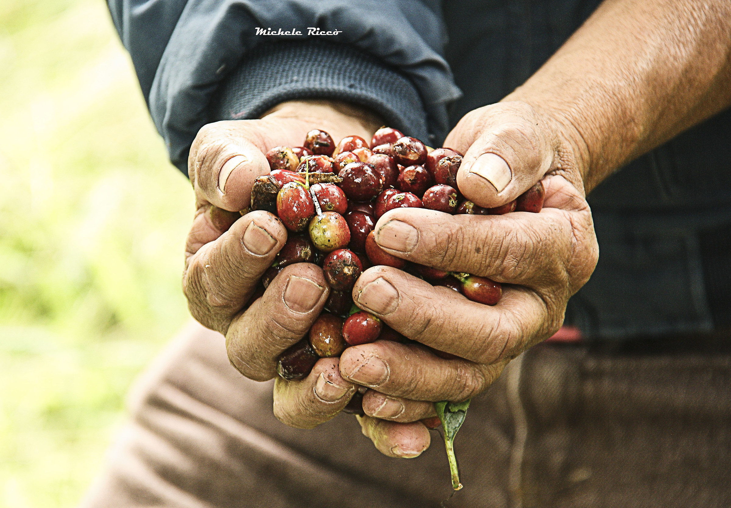 Colombia .... coffee collection !!