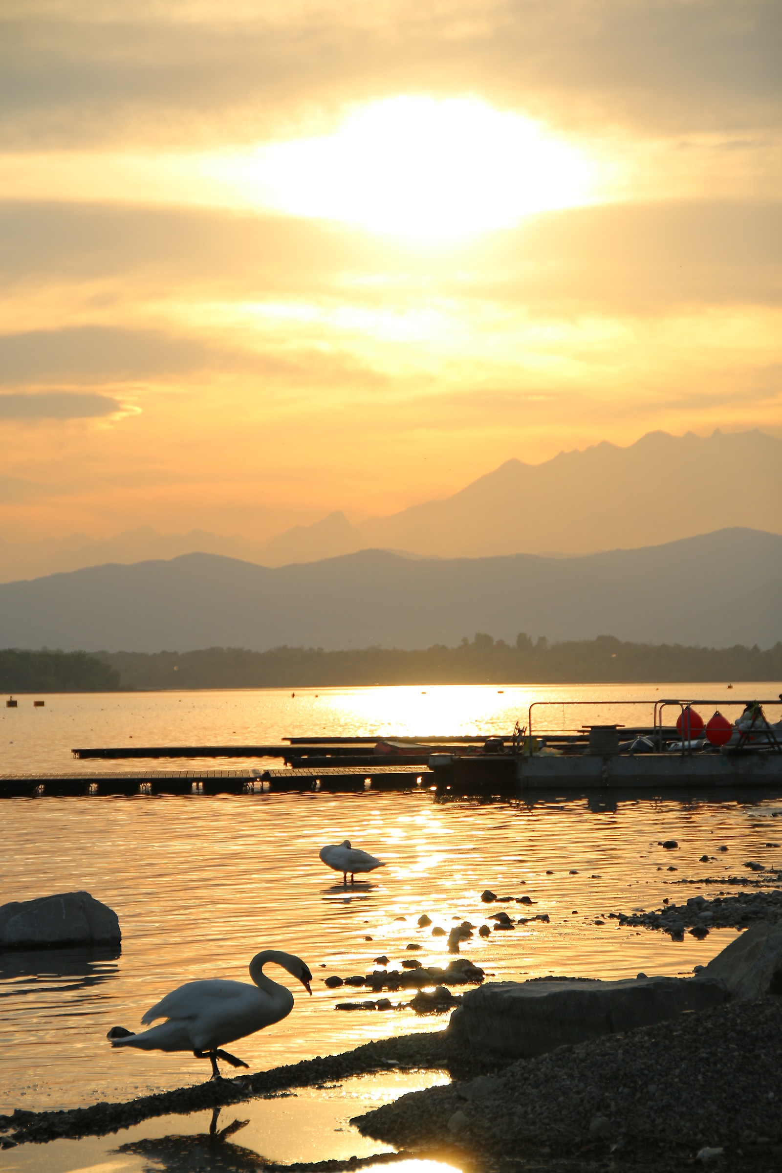 Lago di Varese,Tramonto