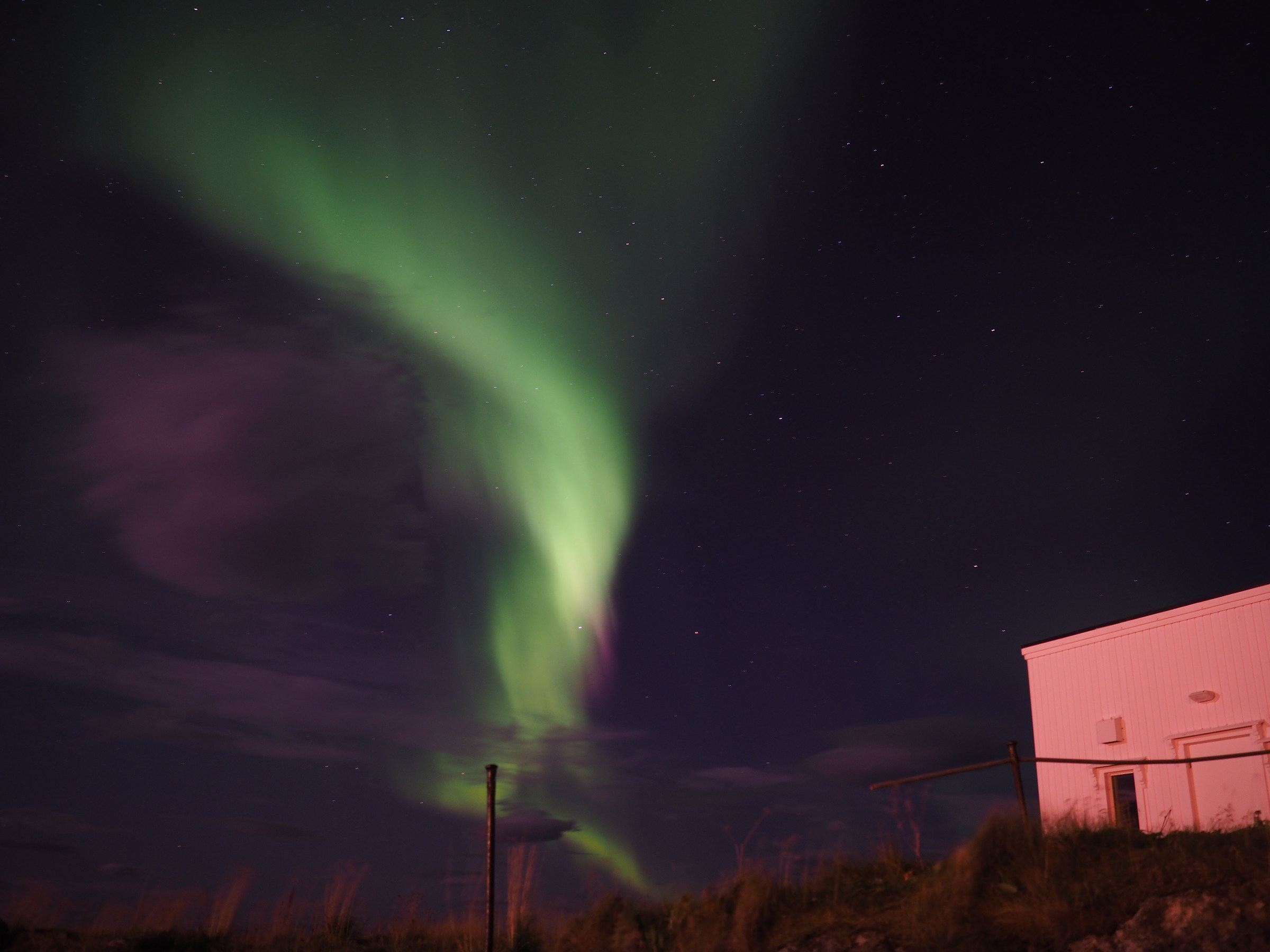 Queen of the Night dressed in green with purple touch