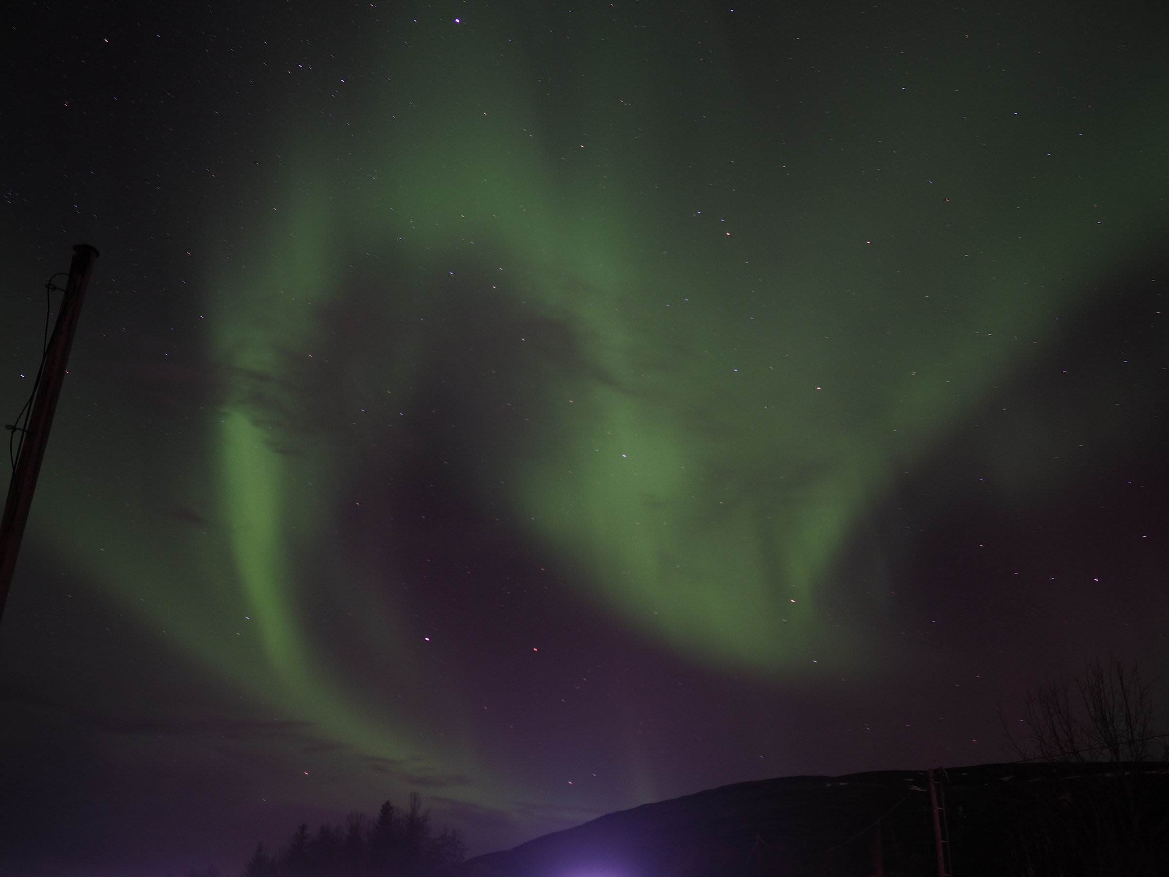 dance for me Honey, dance for me one last time tonight