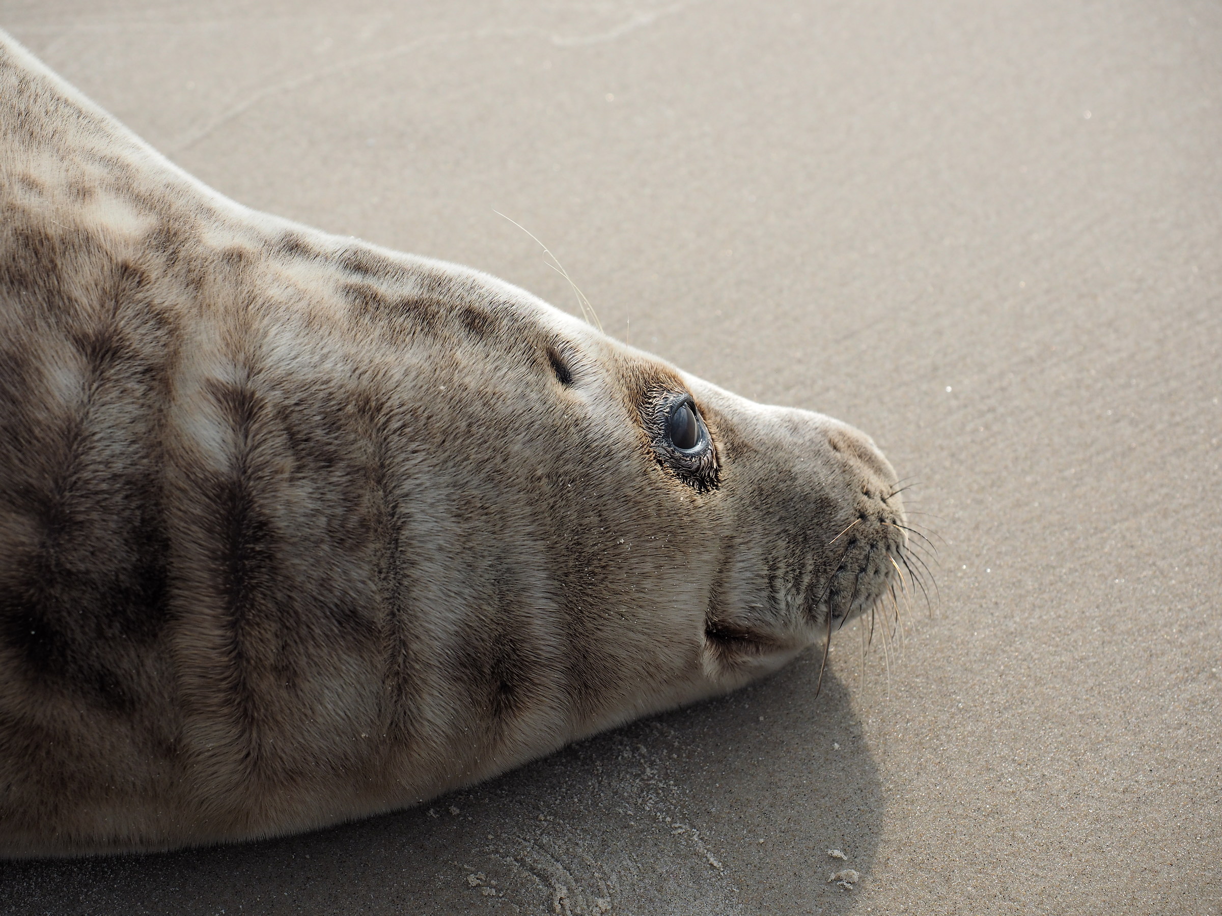 fine day to relax on a beach