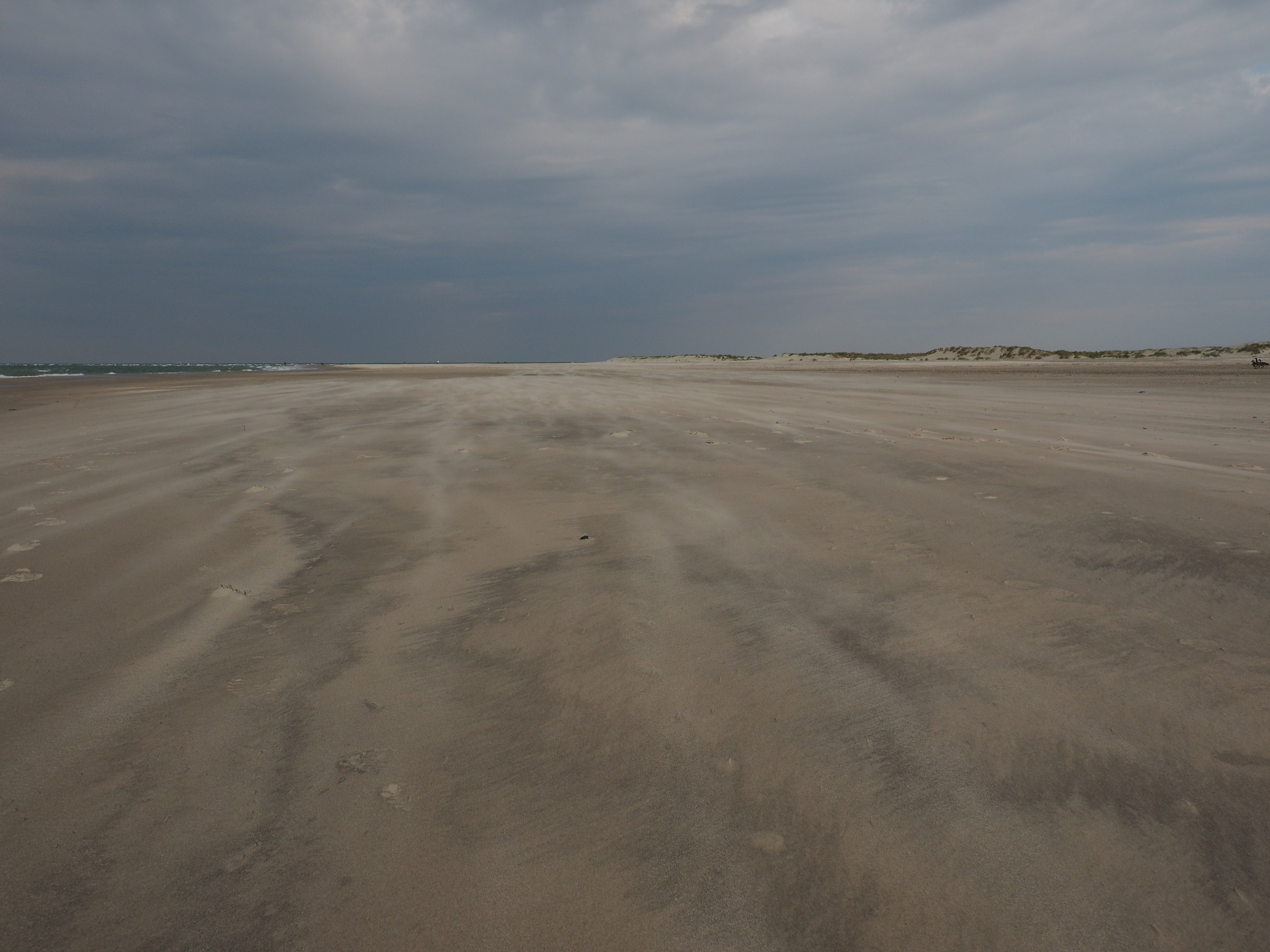 endless beaches of Denmark, beaten by sea and winds