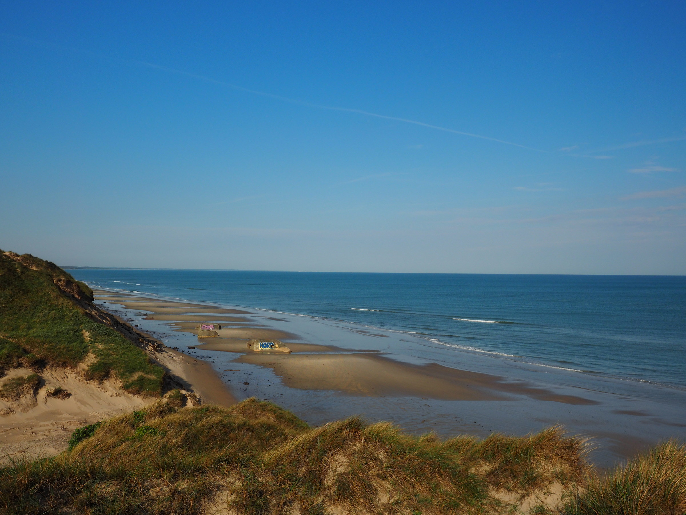 endless beaches of Denmark, beaten by sea and winds