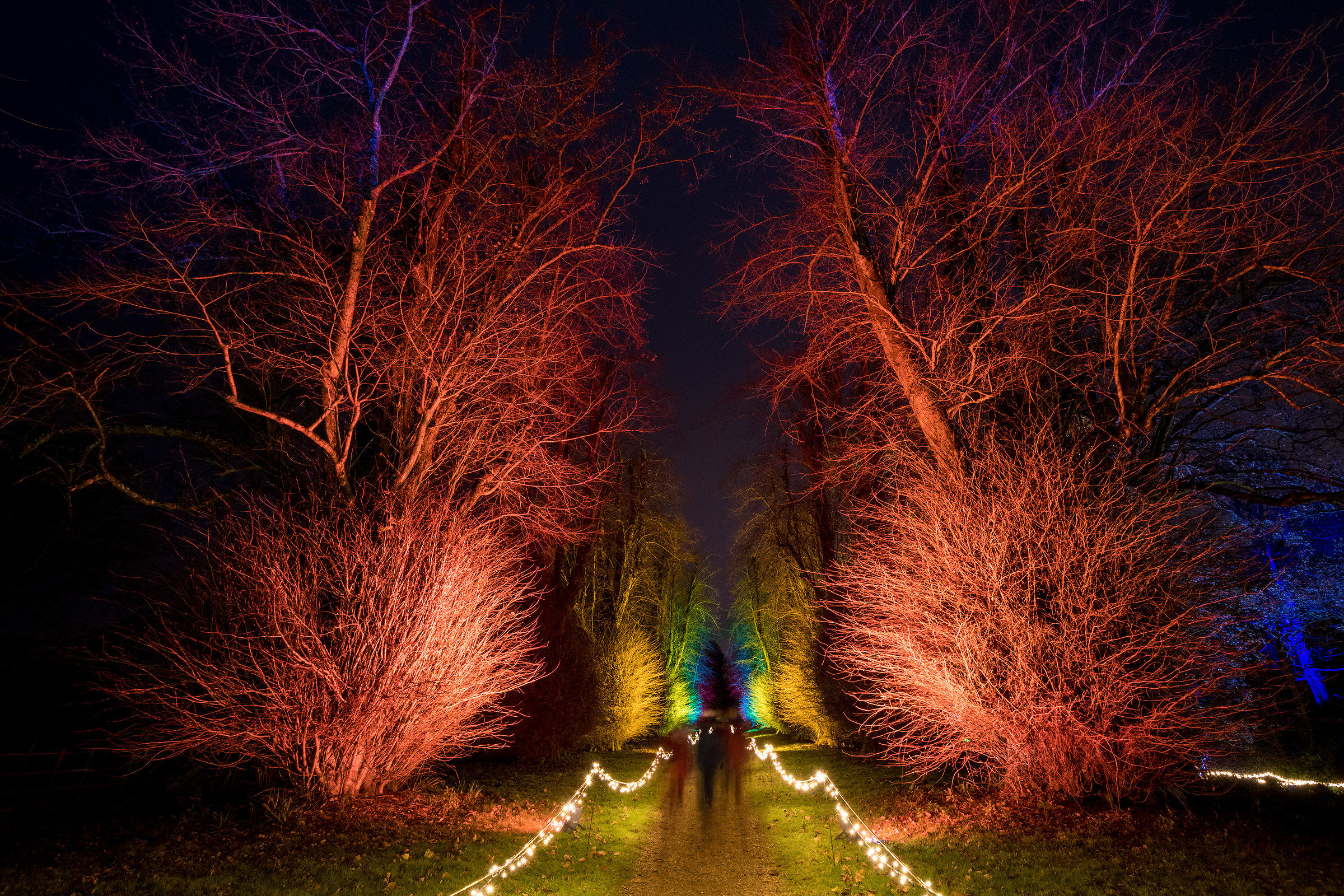 Luci di Natale a Kingston Lacy
