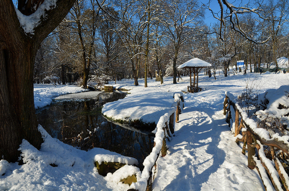 Parco Romanescu - Gennaio 2015