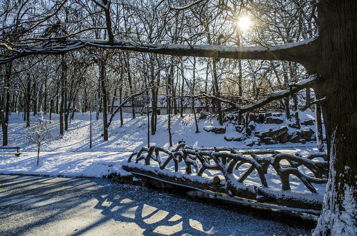 Controluce Parco Romaescu