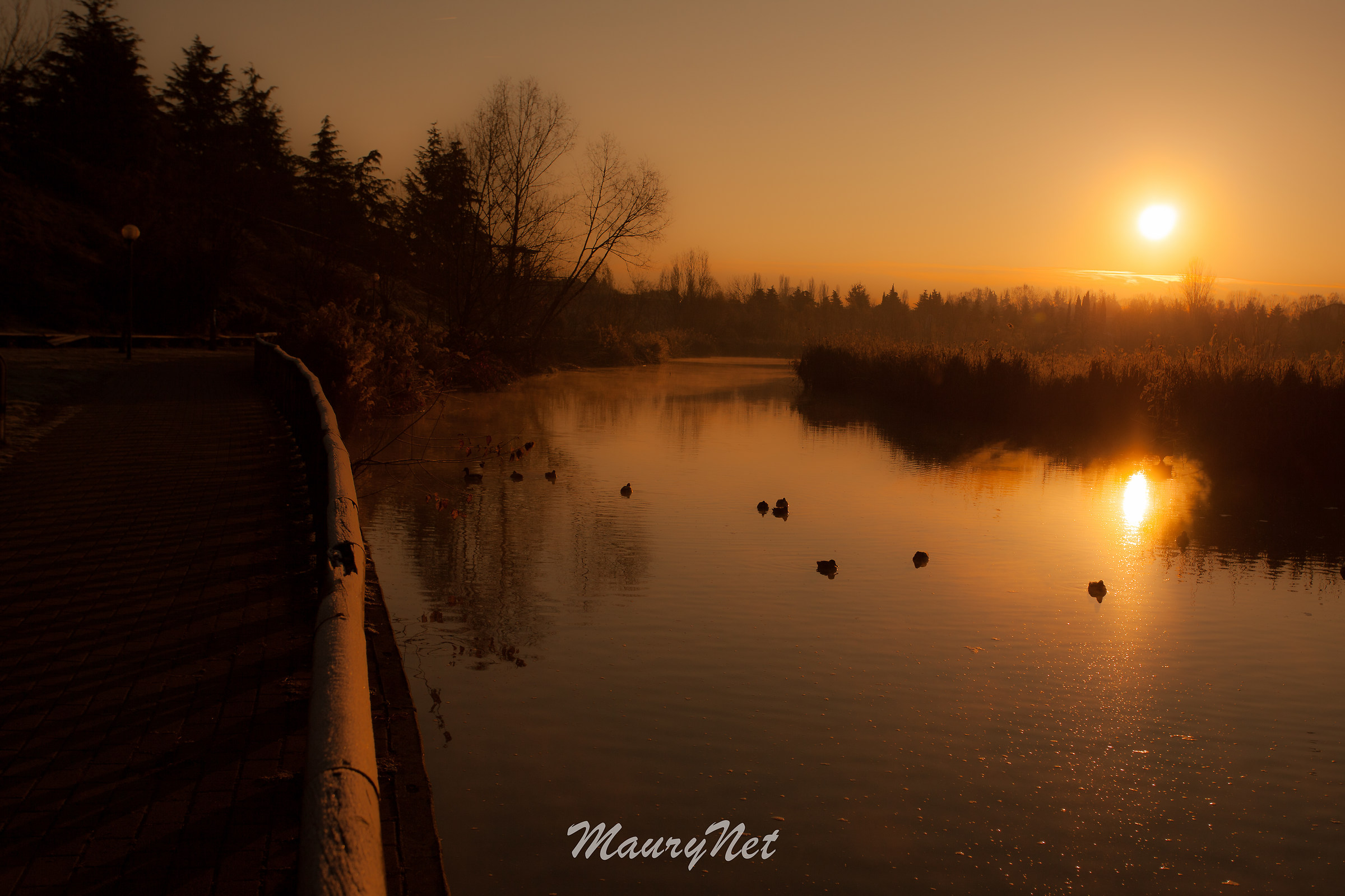 The awakening of the lake