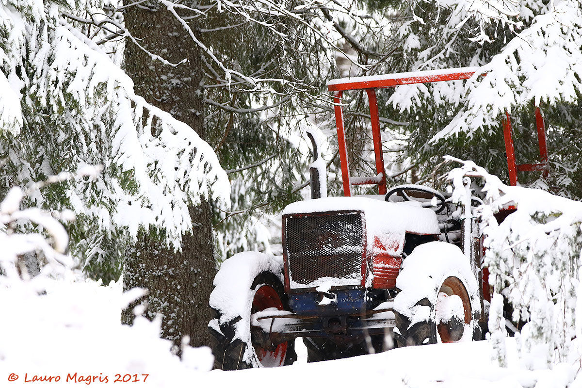 La renna a motore di Babbo Natale