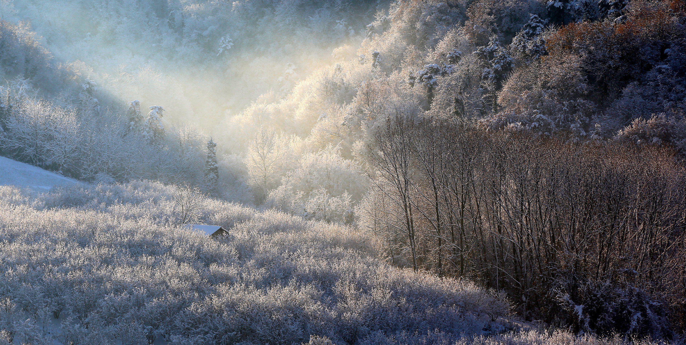 Il cuore selvaggio di Montelupo Albese