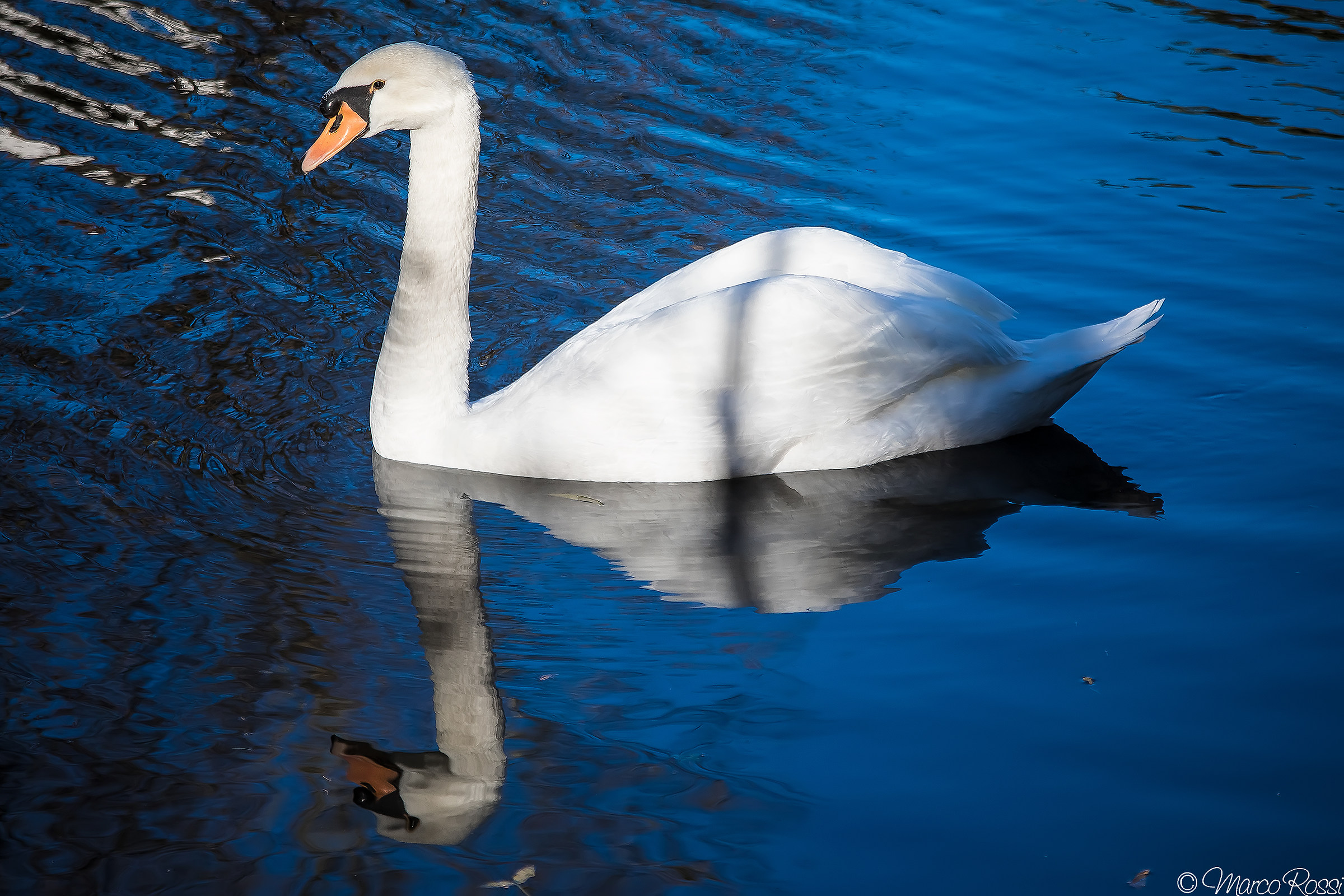 Mirror mirror on the wall....