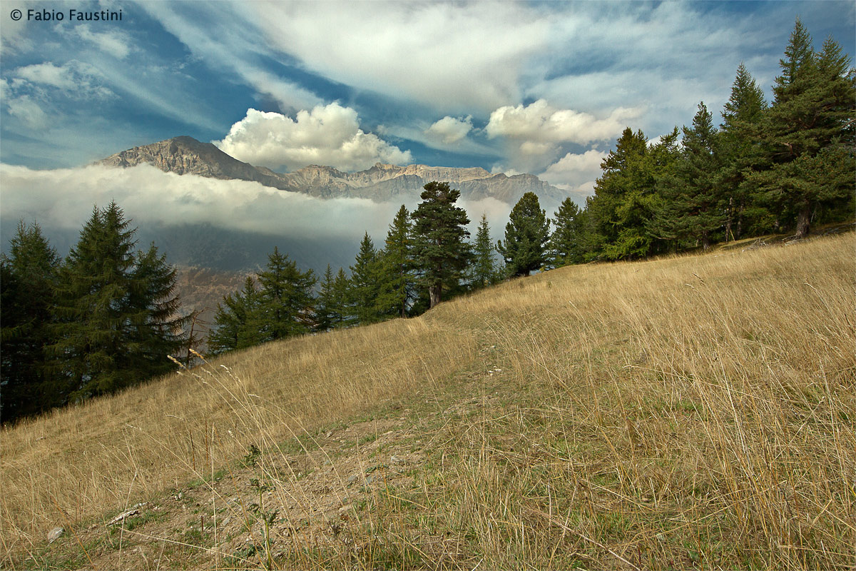 Gran Bosco di Salbertrand, vista del monte Seguret