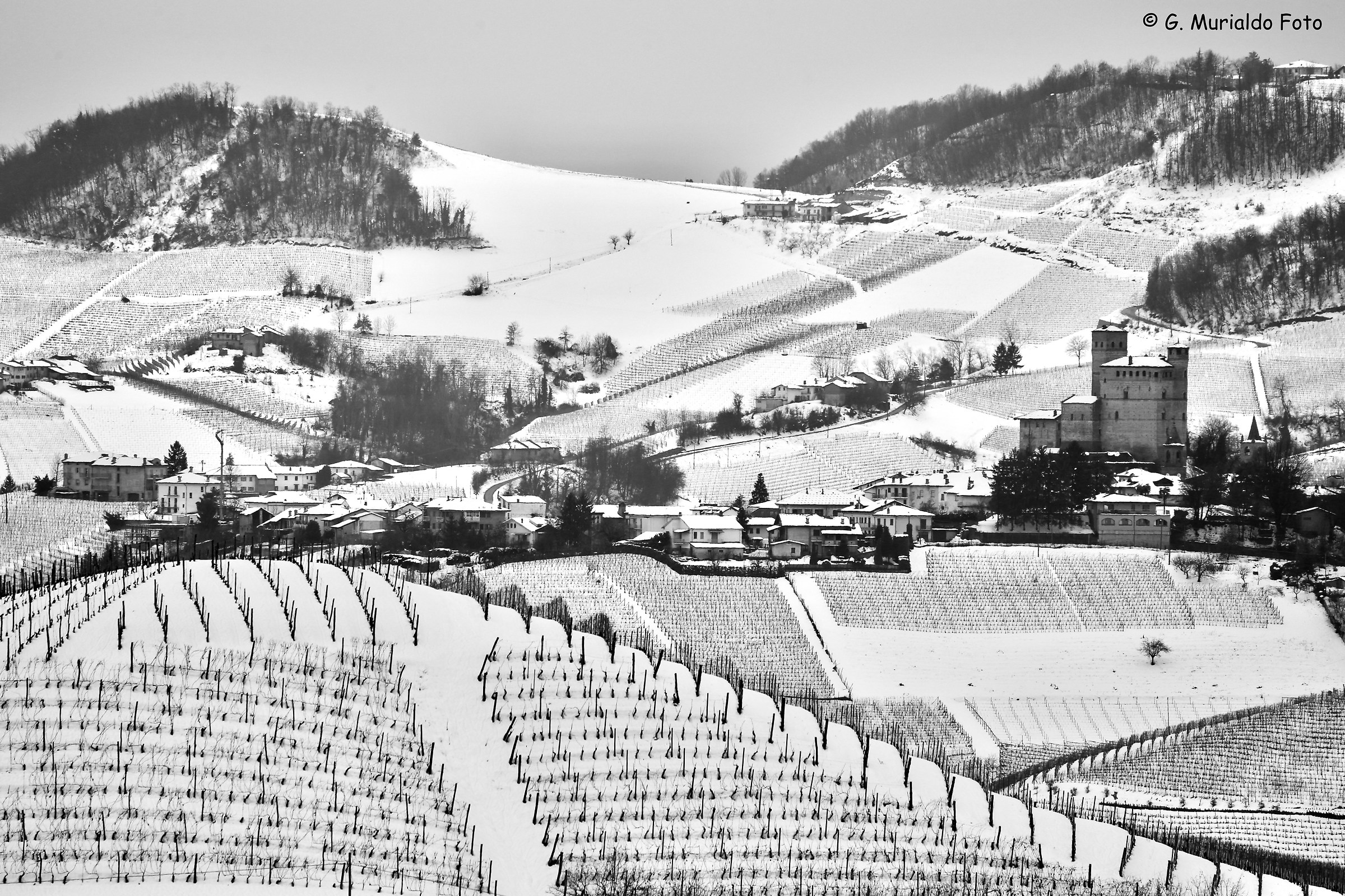 Serralunga in bianco