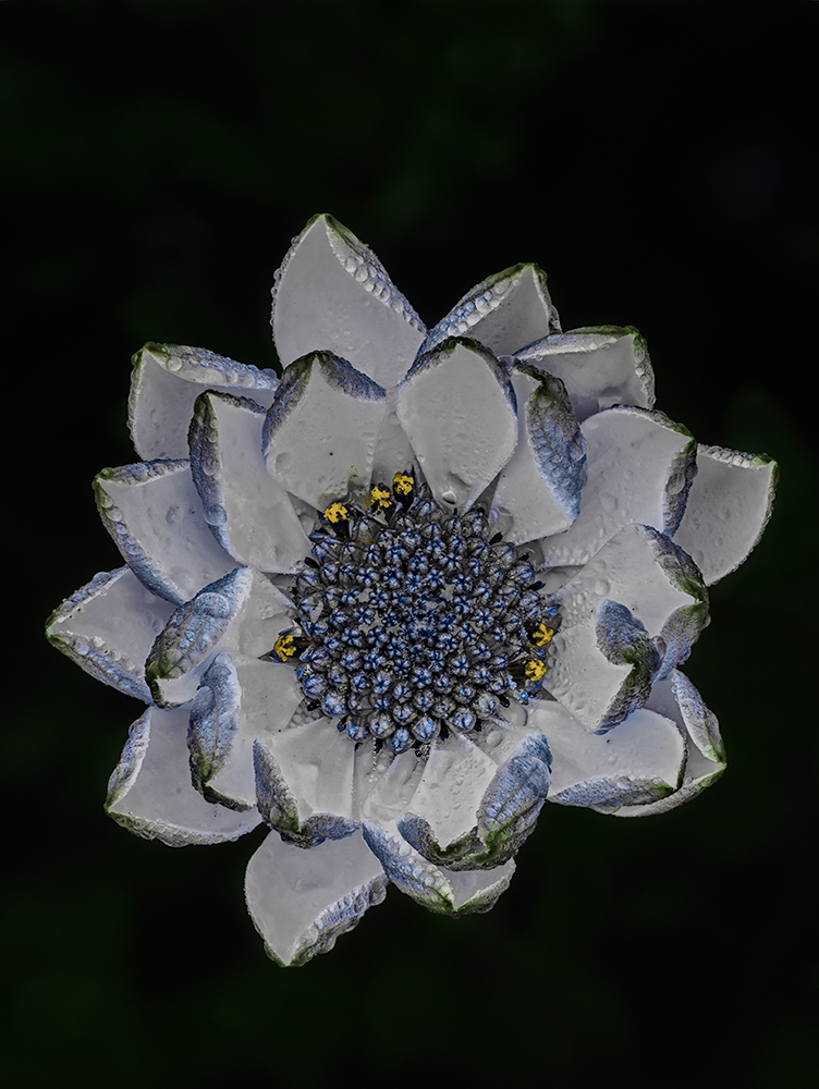 It's cold but resites