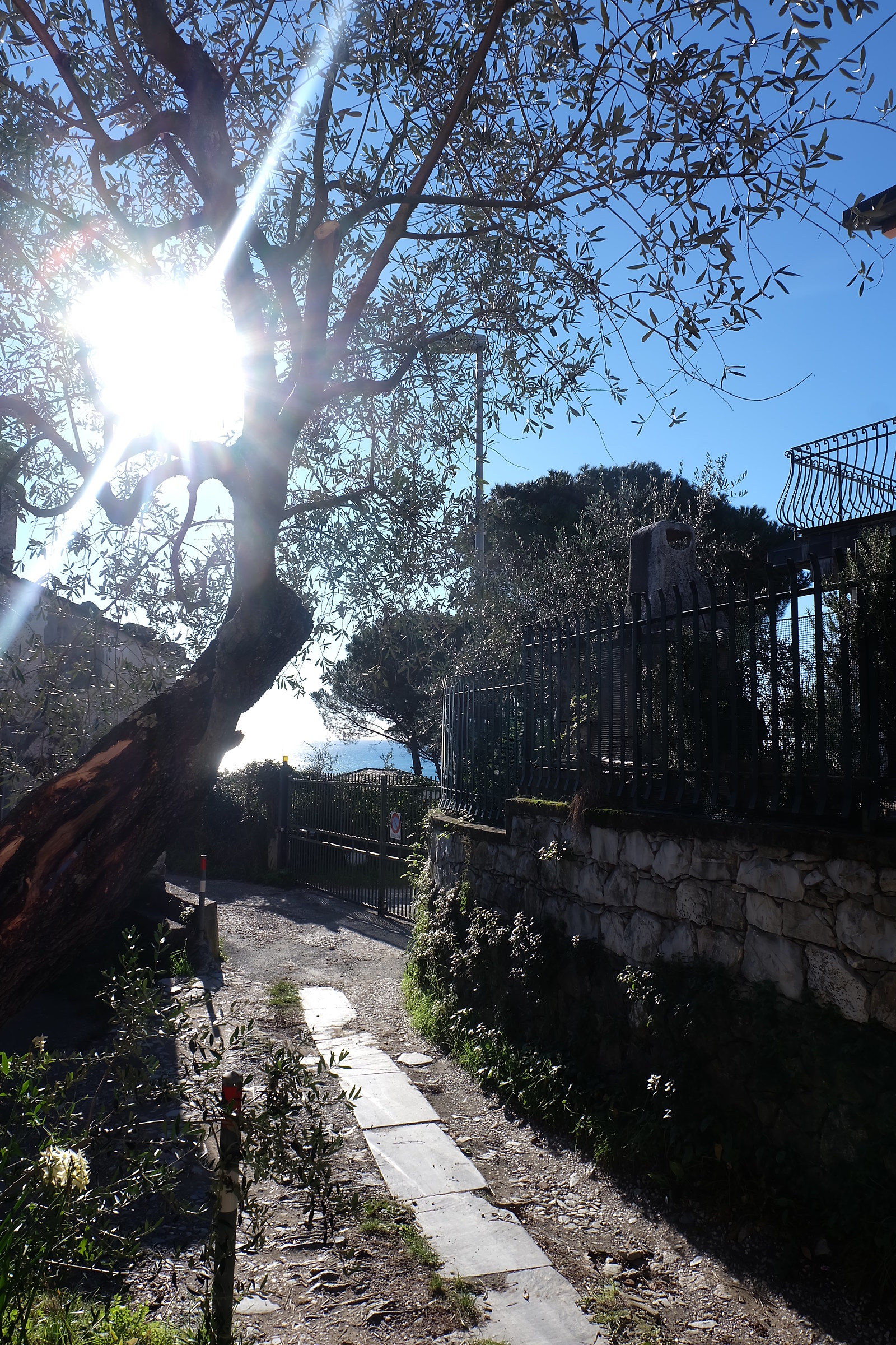 you will cross characteristic muletracks