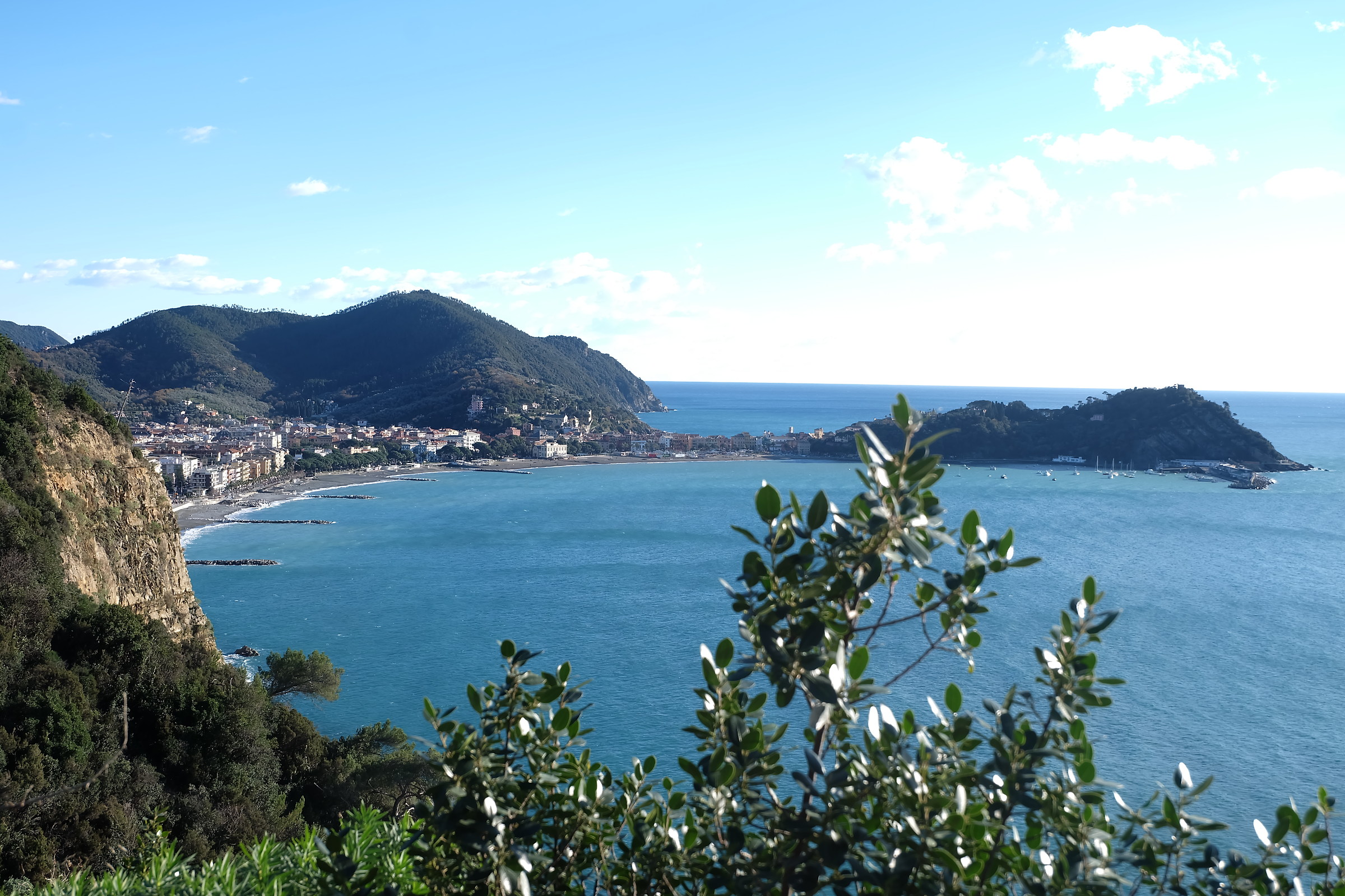 glimpses of an enchanting path ...