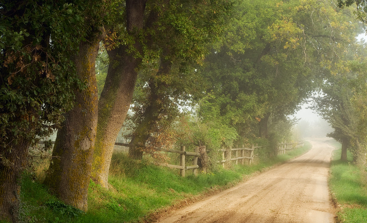 Thinking miss Austen