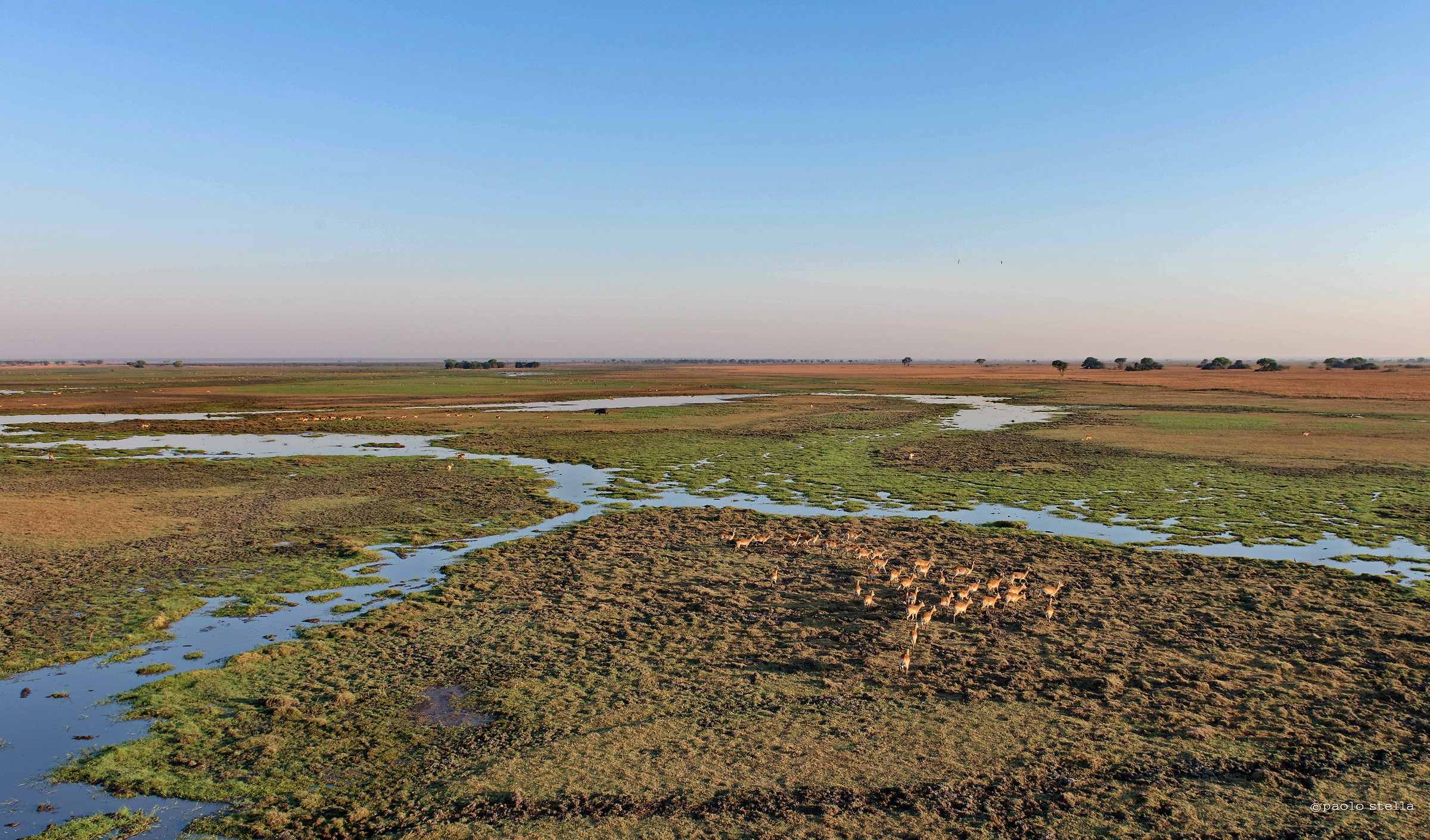 la pianura alluvionale di Kafue