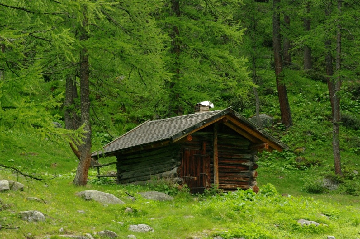 Hunters' hut