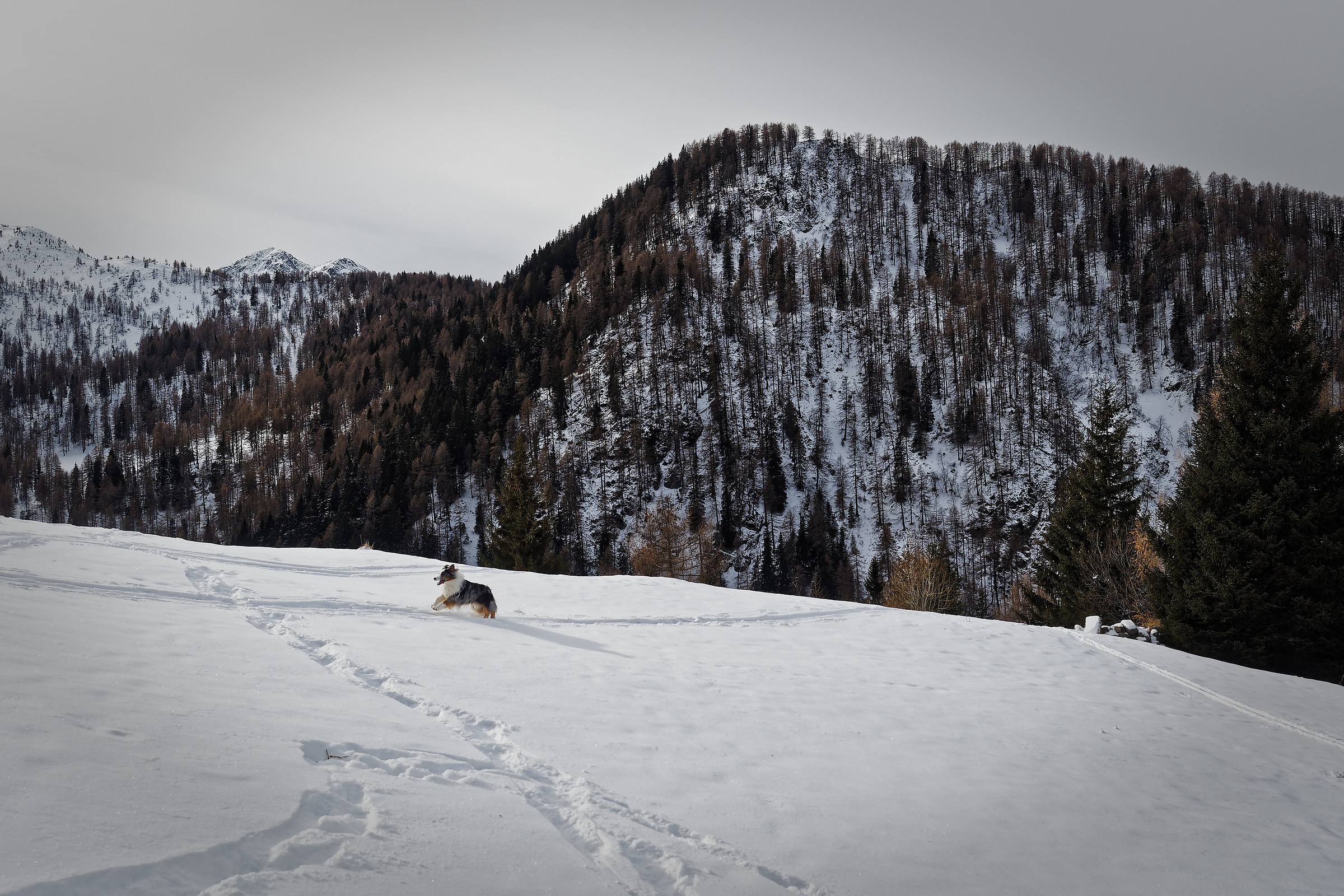 Happiness in a race ..