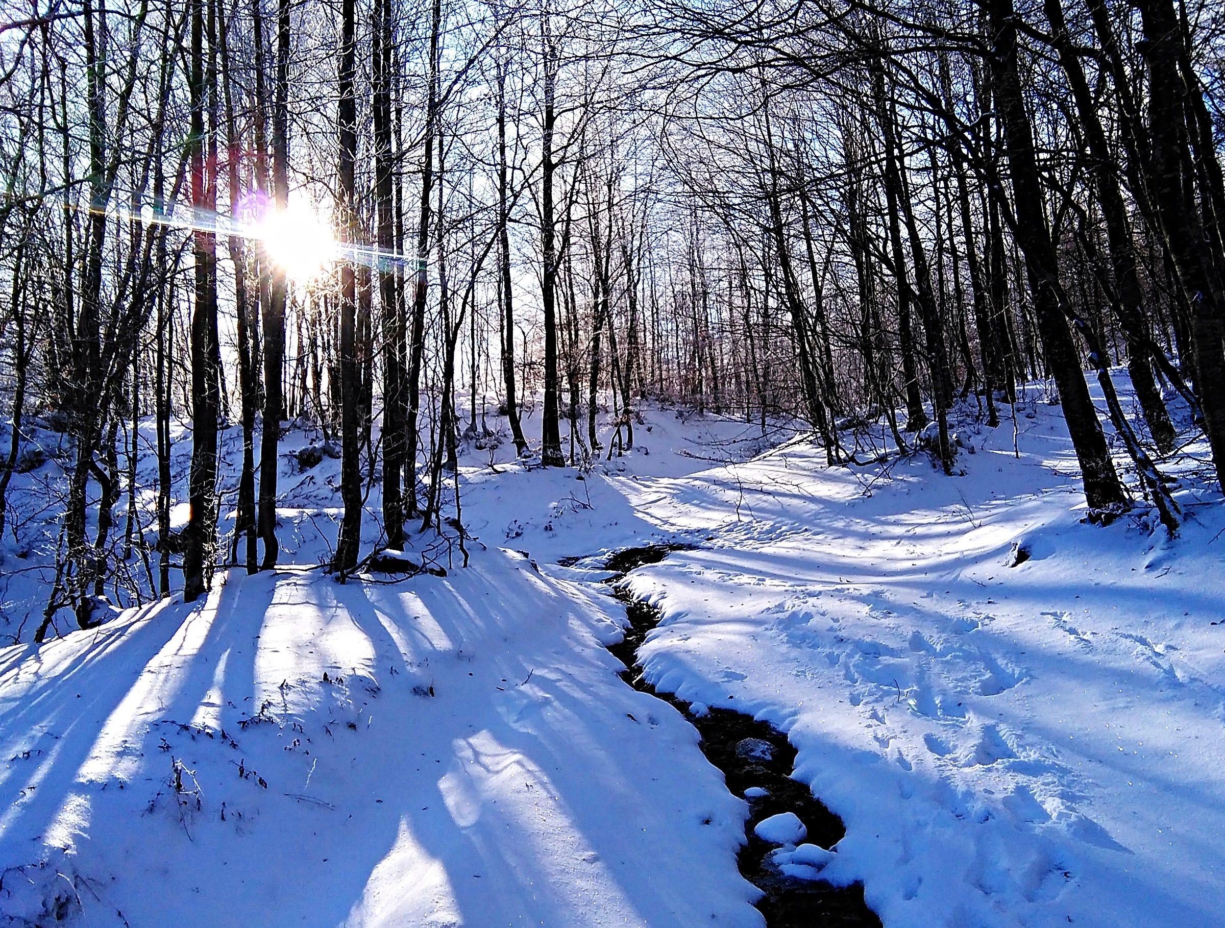towards the mountain Lama