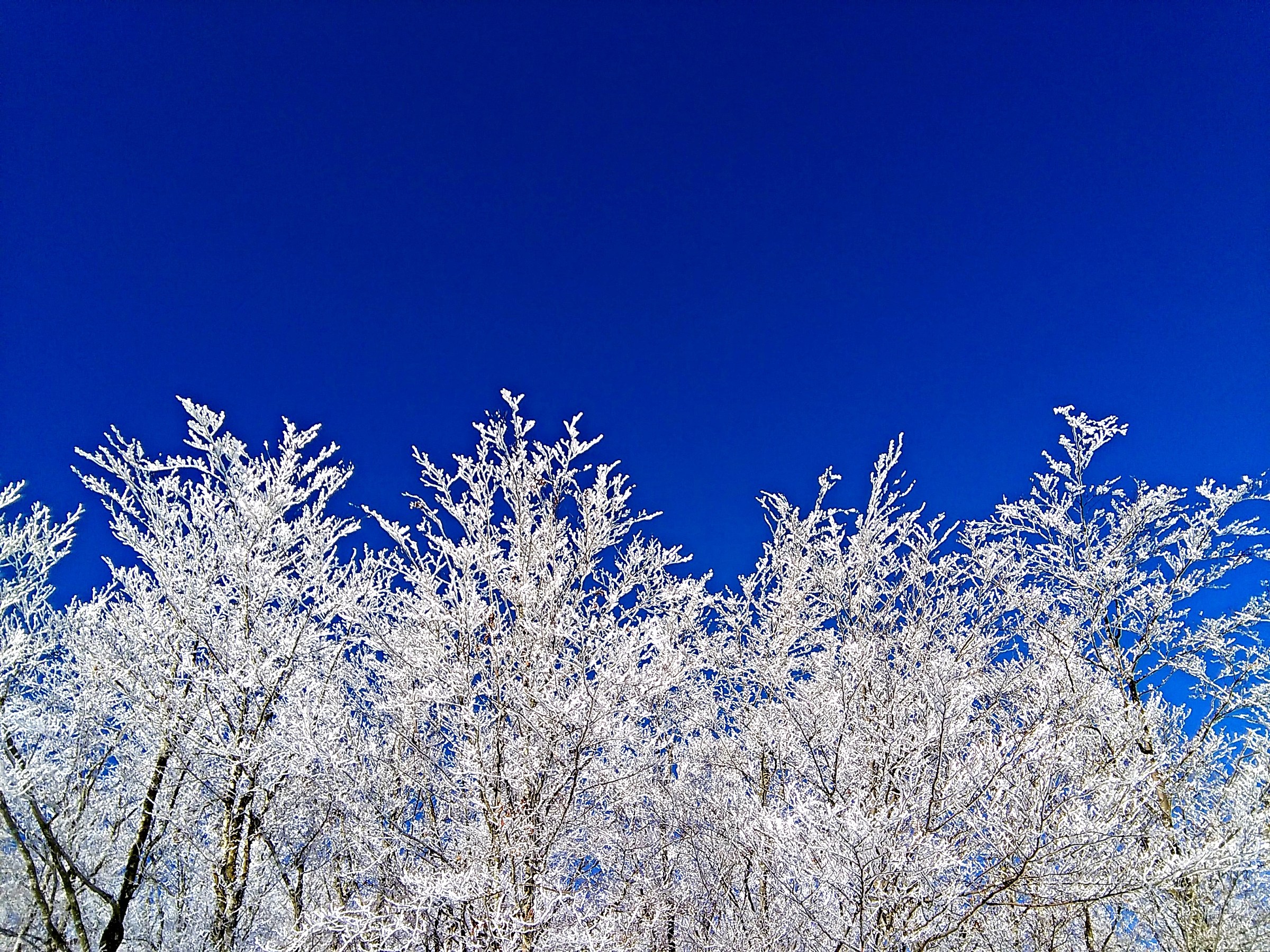 towards the mountain Lama