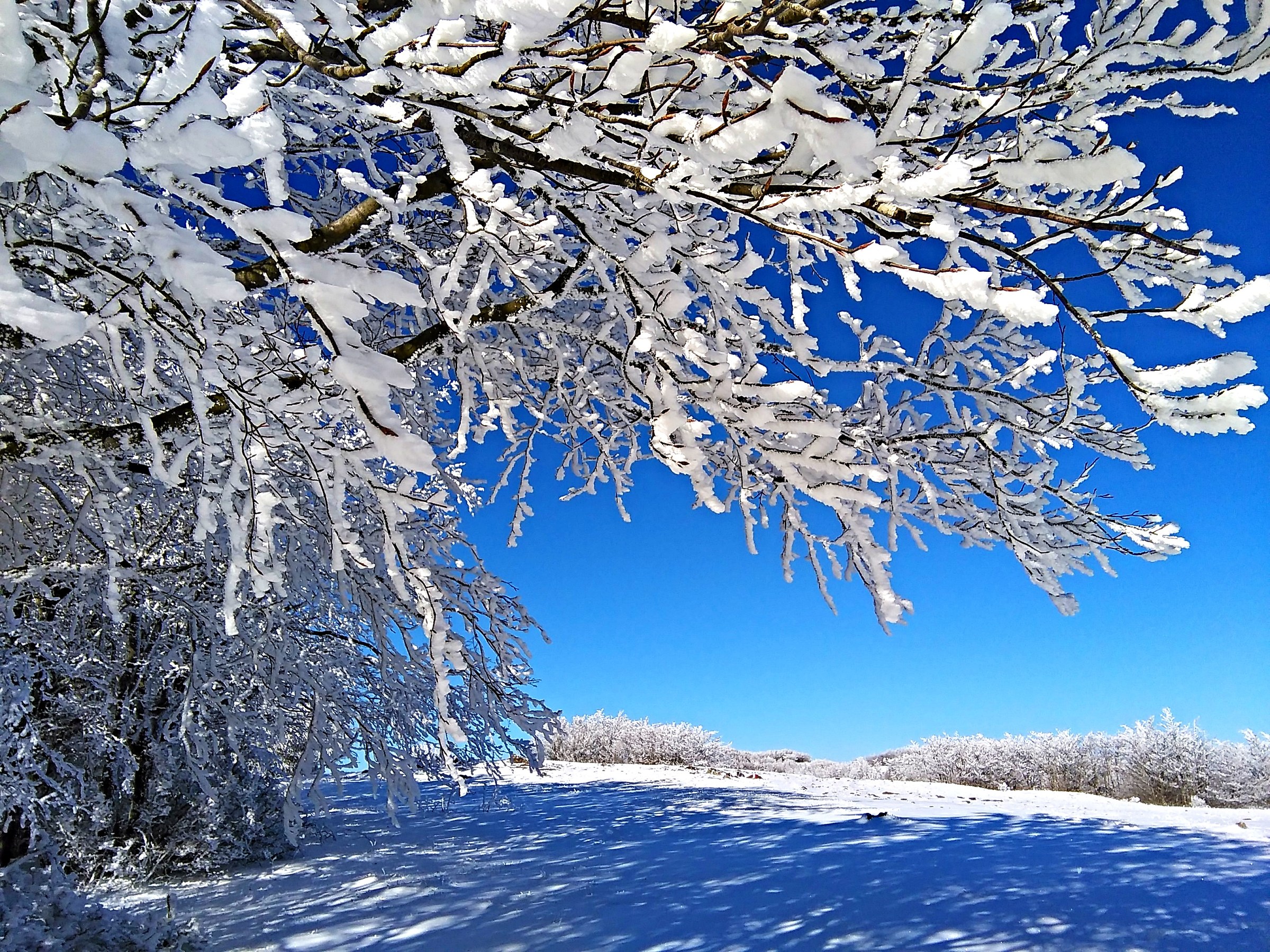 towards the mountain Lama