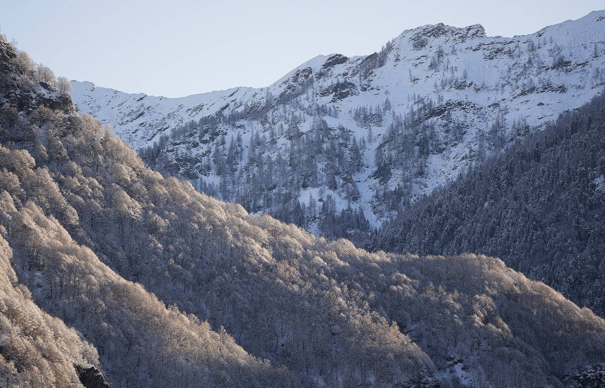 Light snowfall - Rimasco