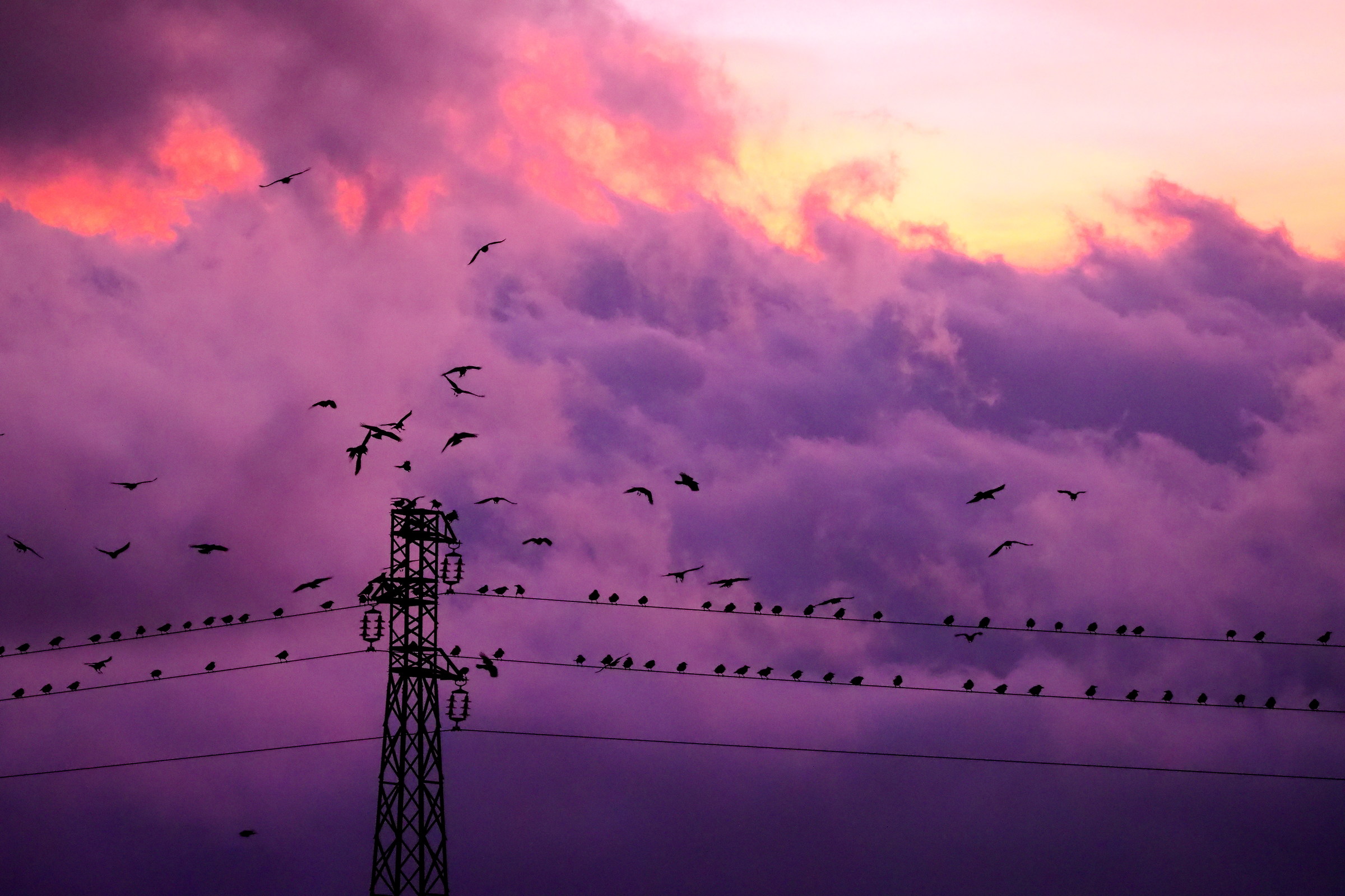 La fine del giorno...