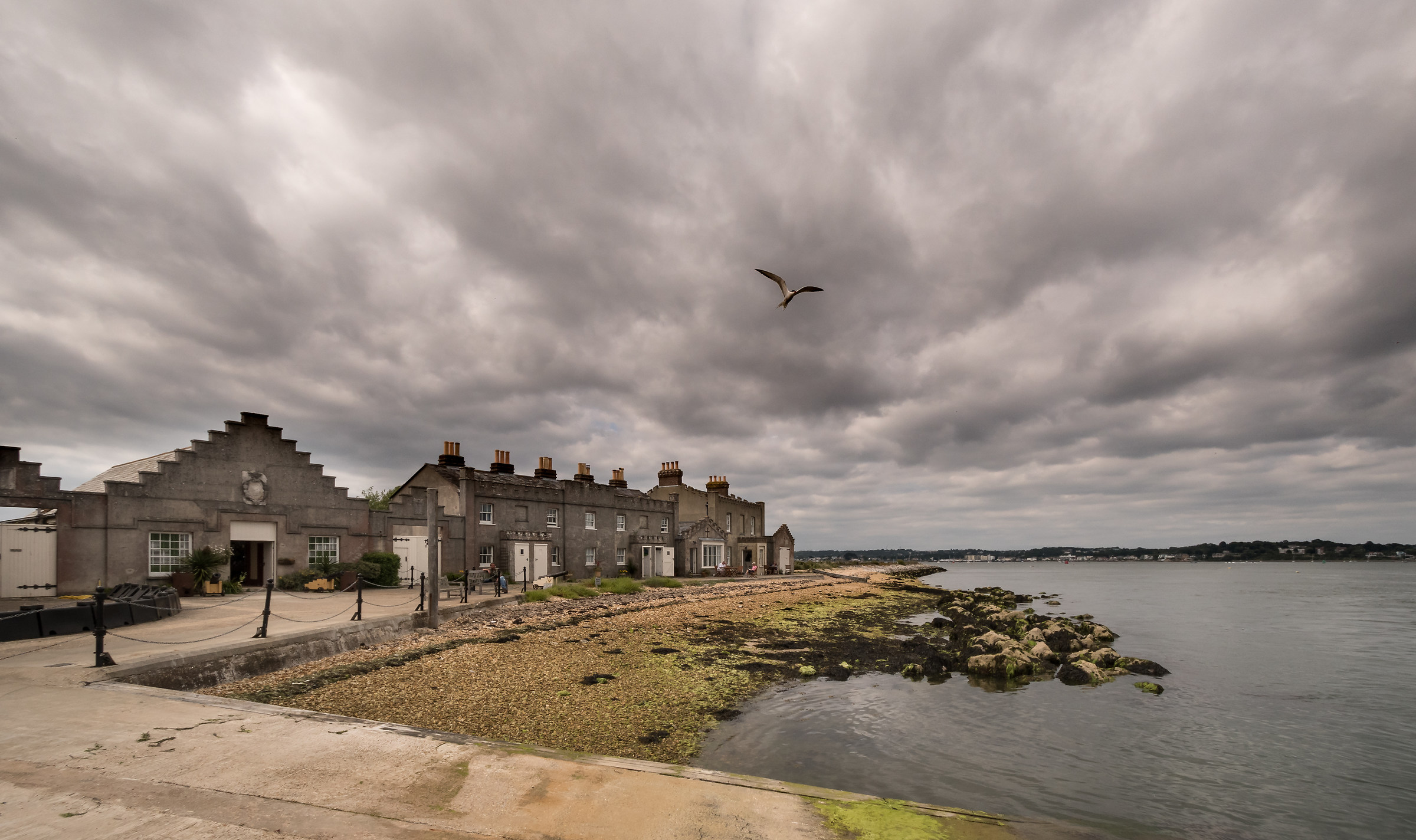 Sterna sopra l'isola di Brownsea