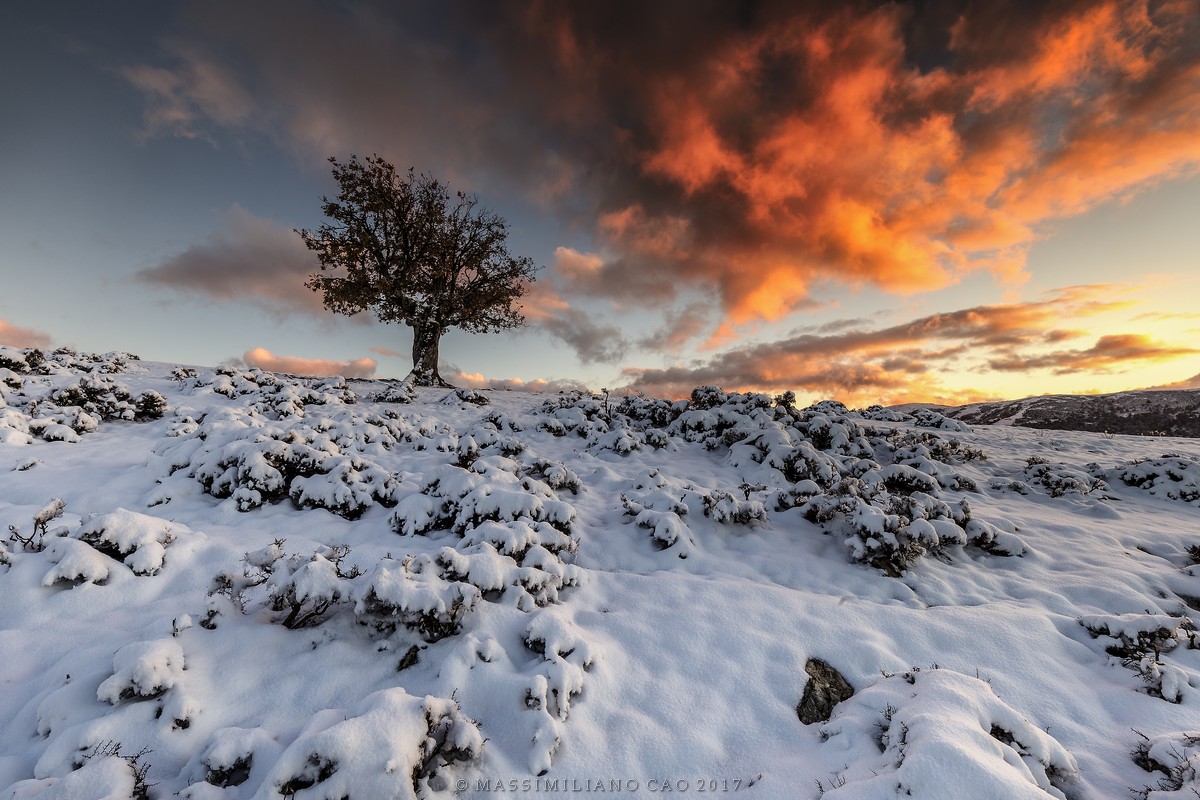 Il paradiso non può attendere
