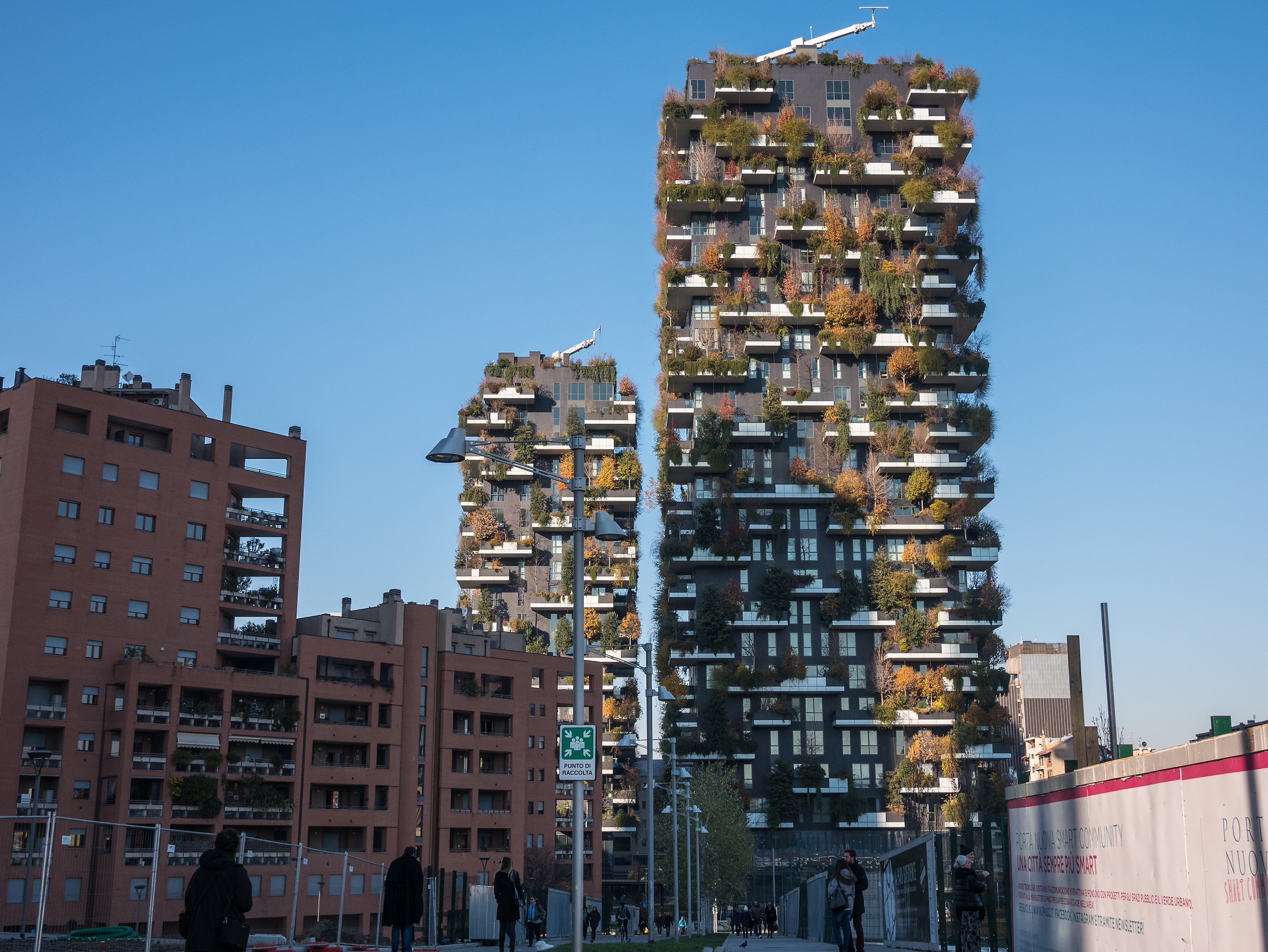Vertical autumn forest