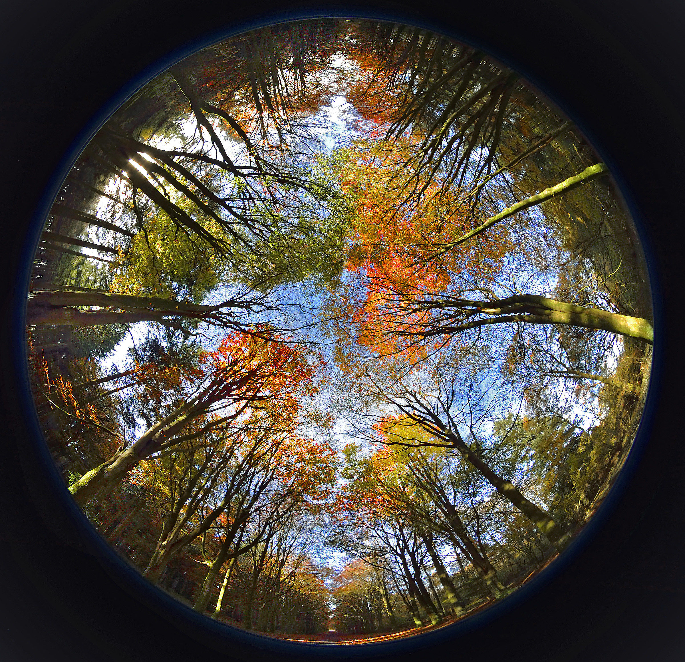 Autunno contenuto all'interno di un cerchio